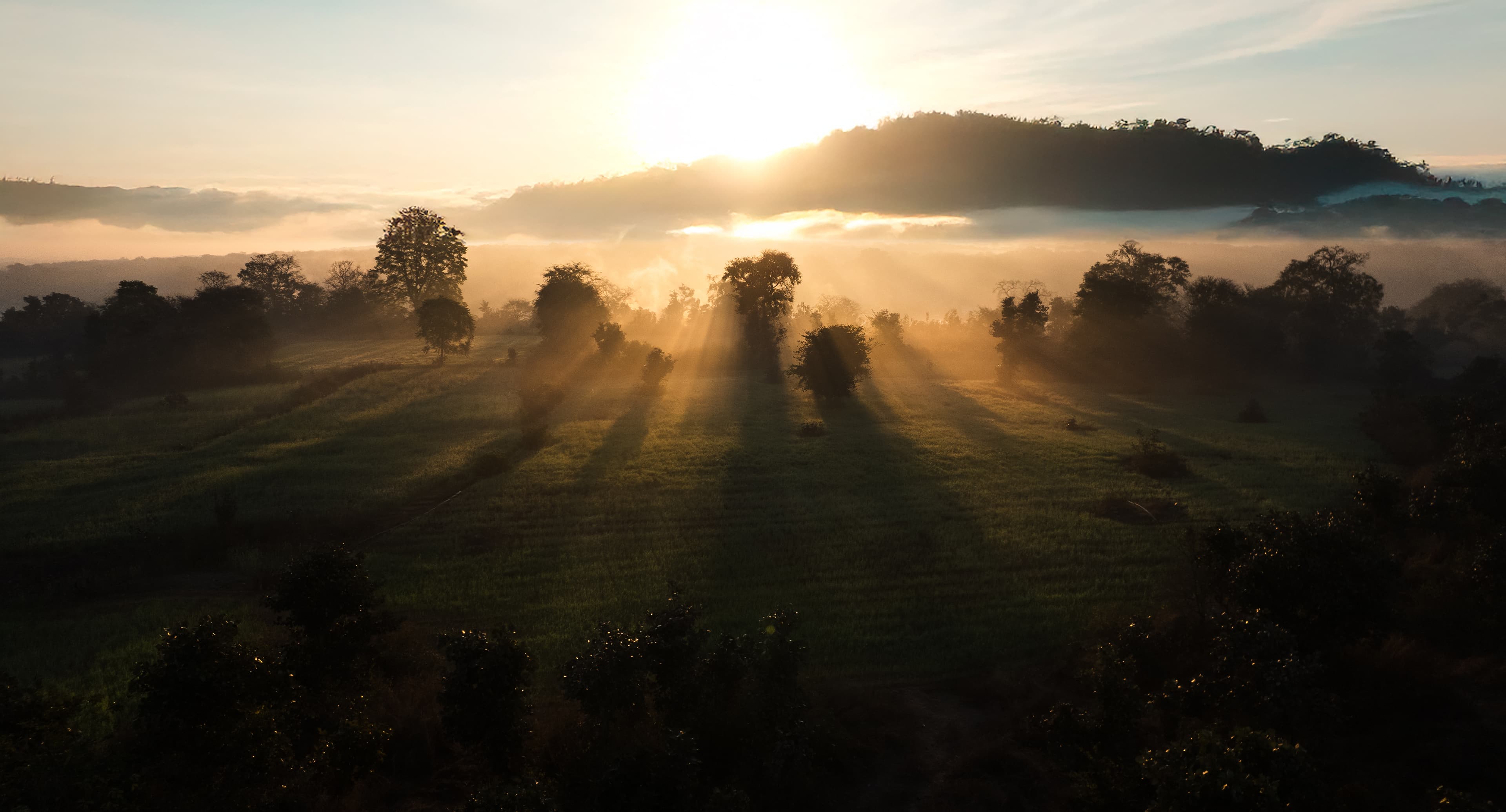 Sunrise - thumbnail 1
