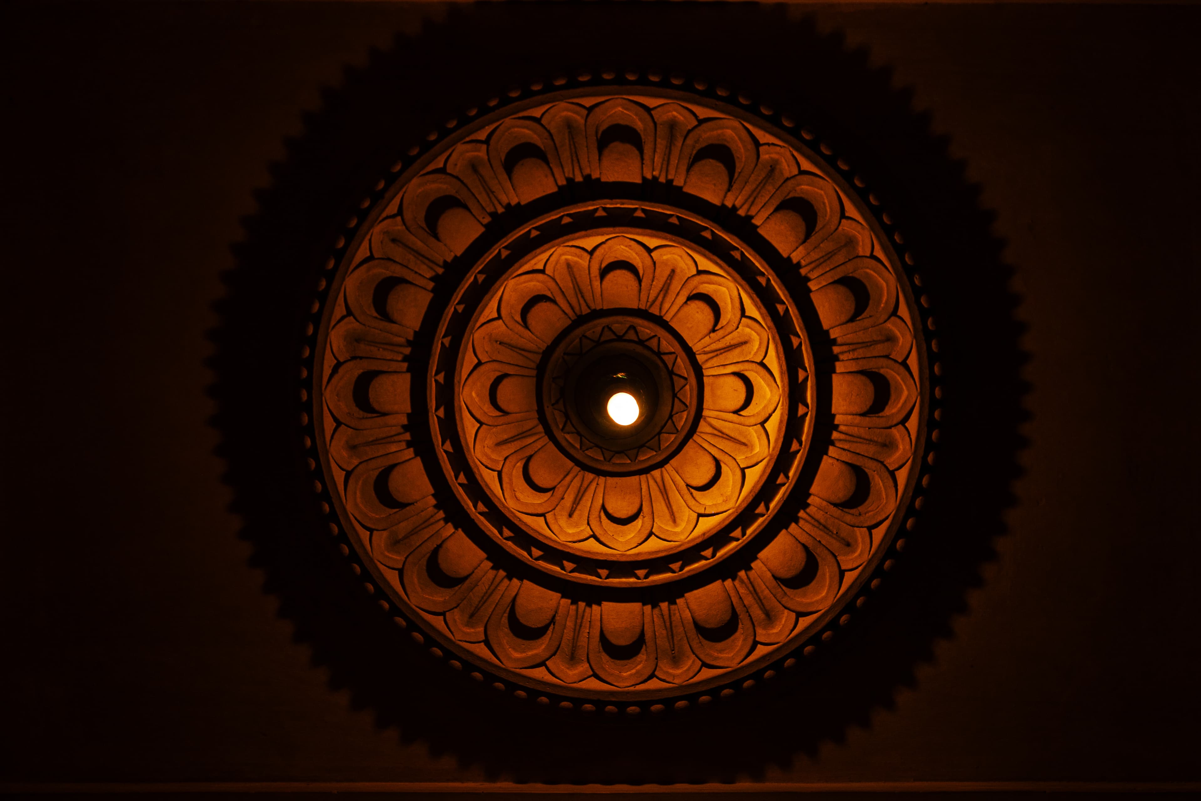Lotus in the Dark