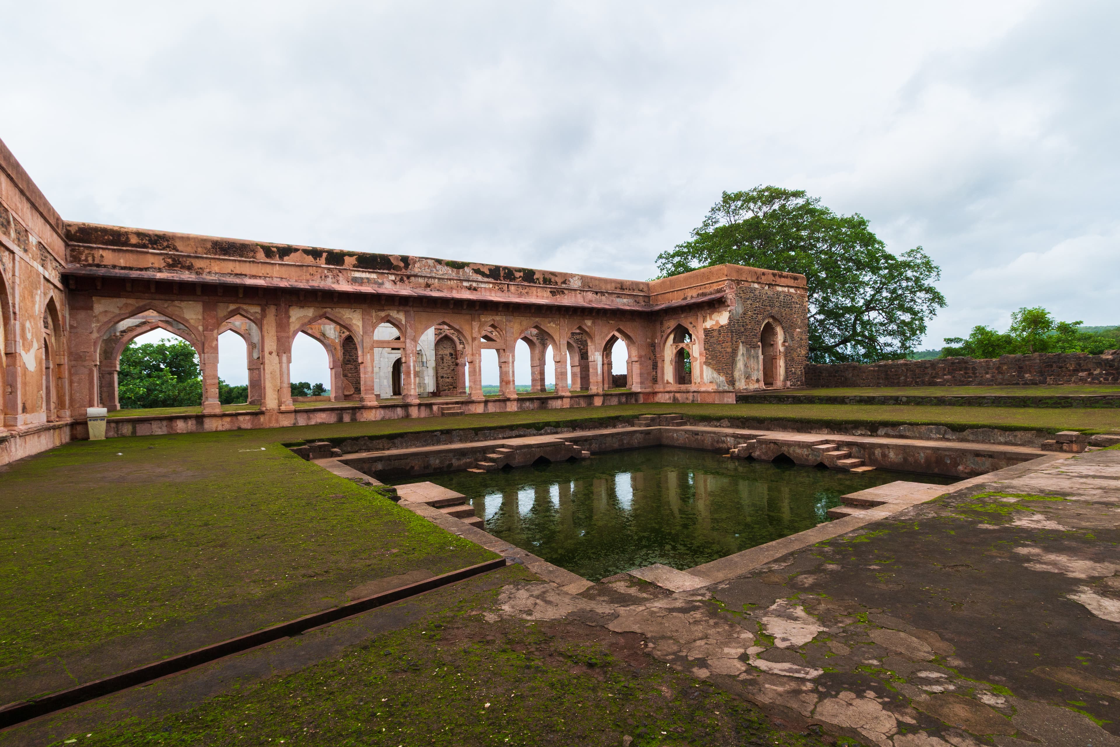 Green Echoes of the Past
