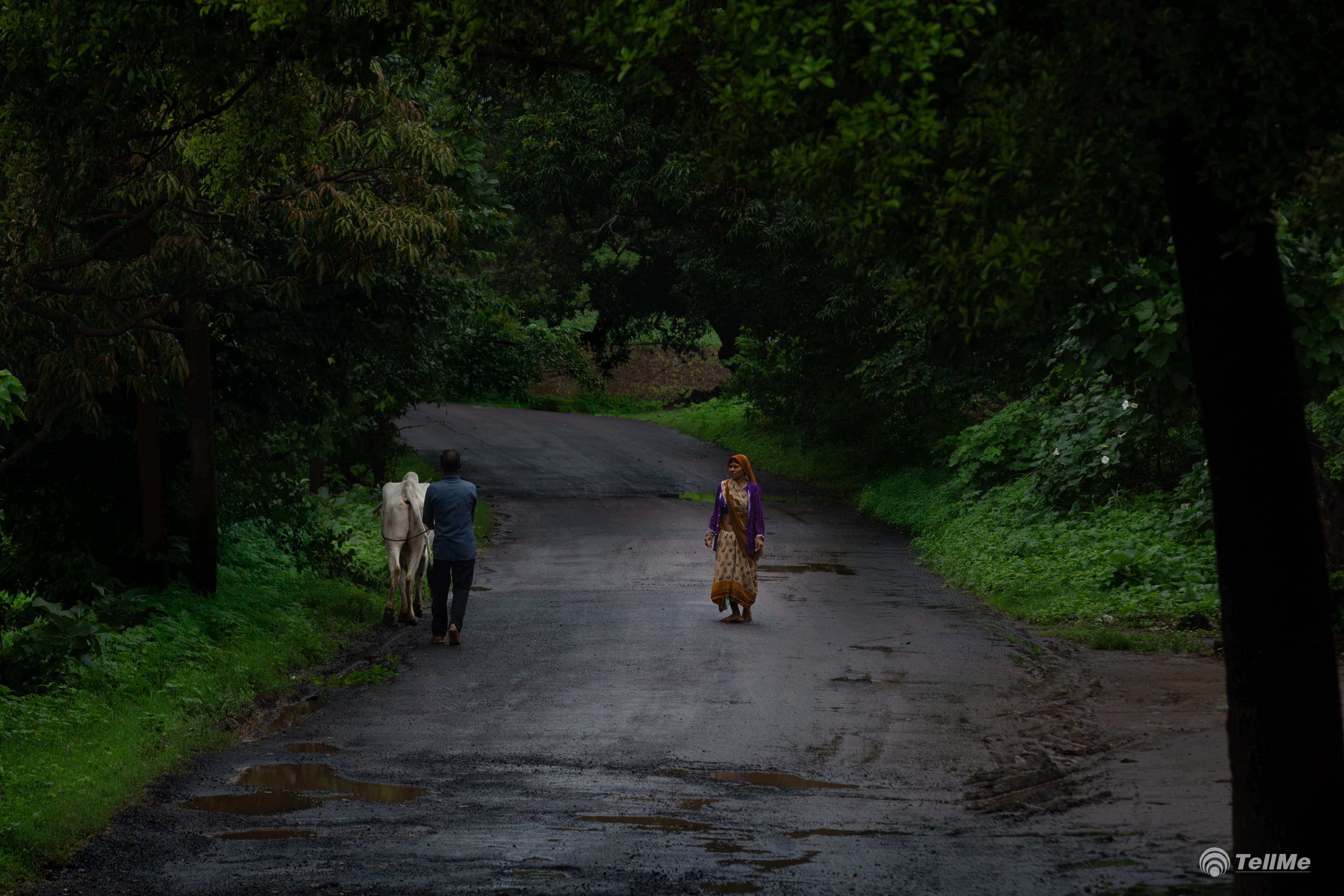 Monsoon Pathways