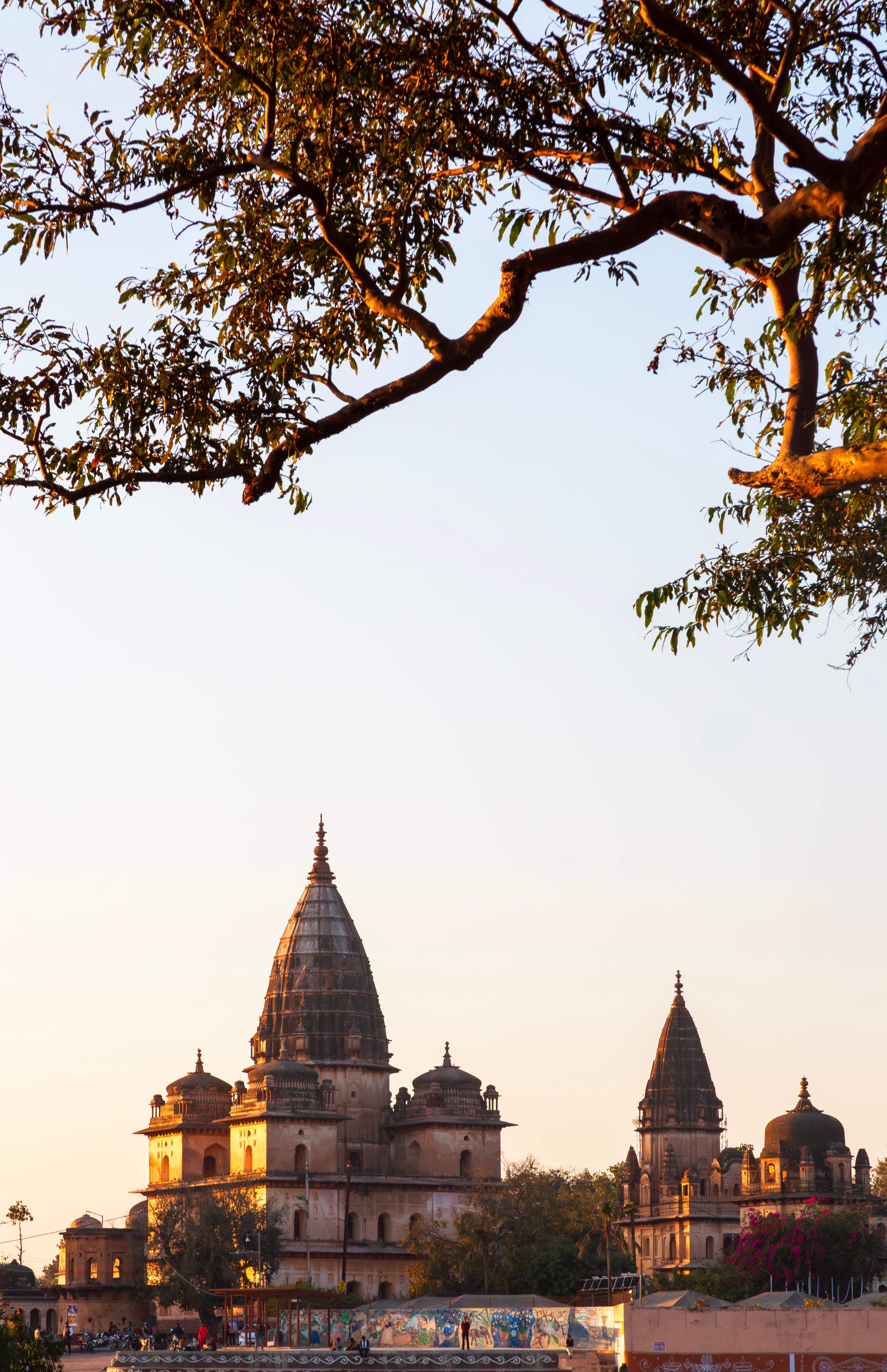 Royal Silhouettes of Orchha