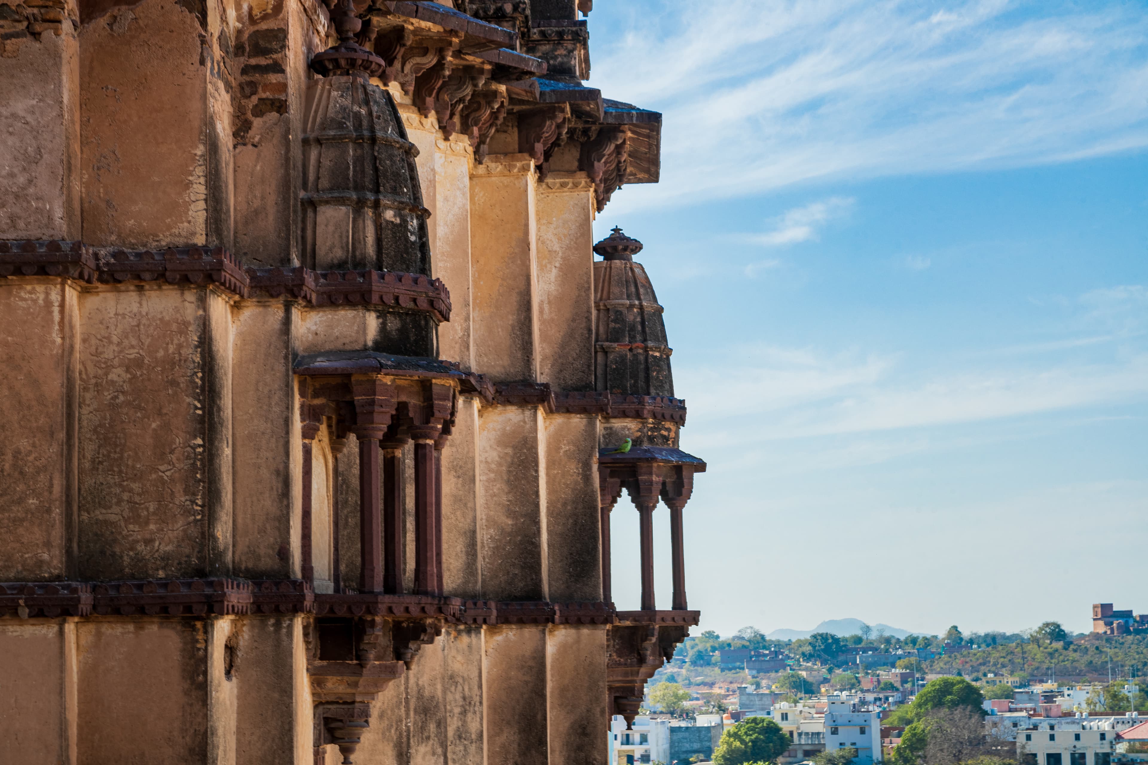 Stone Gazes Over a Living City