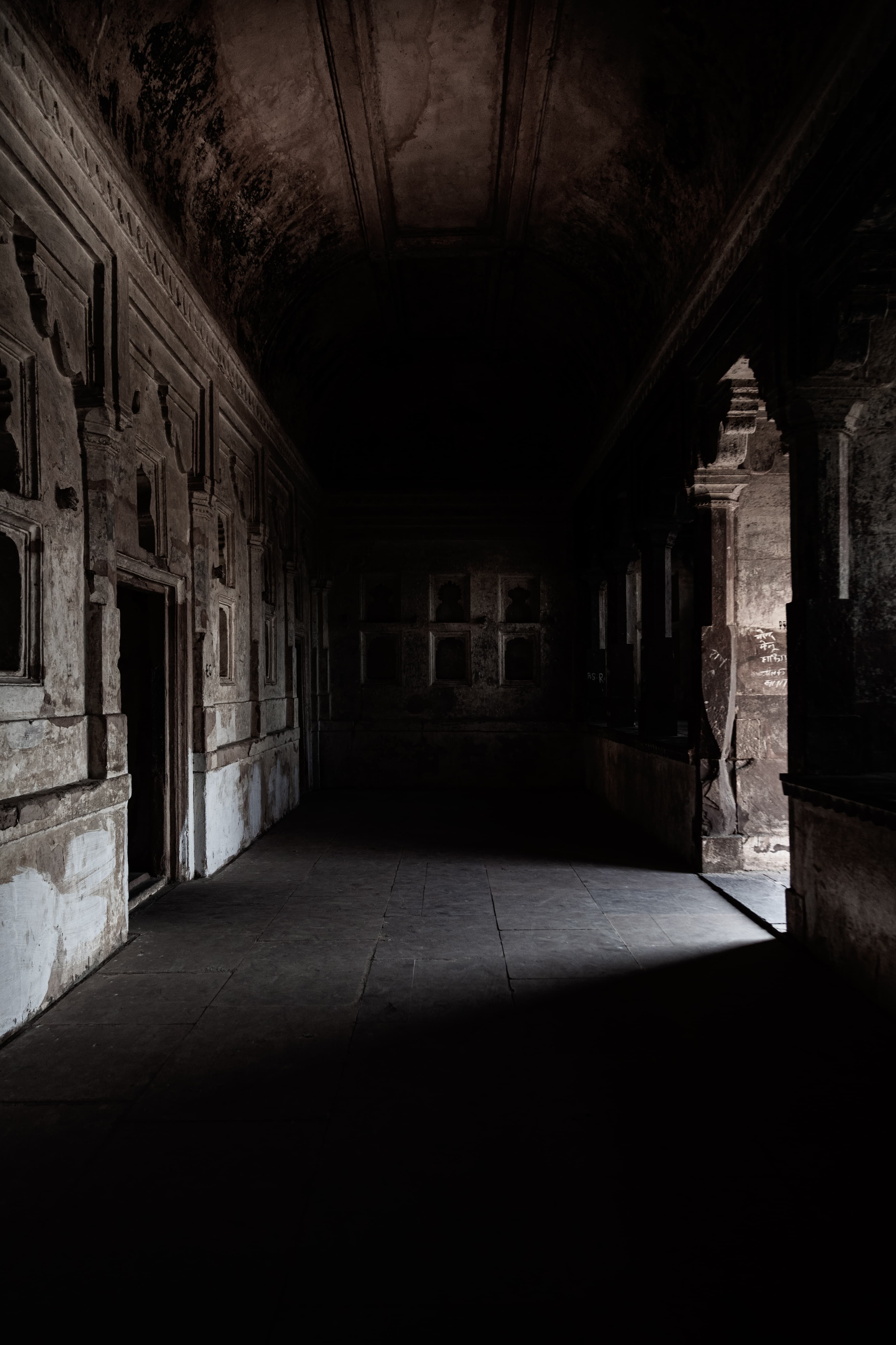 Echoes in the Dark
