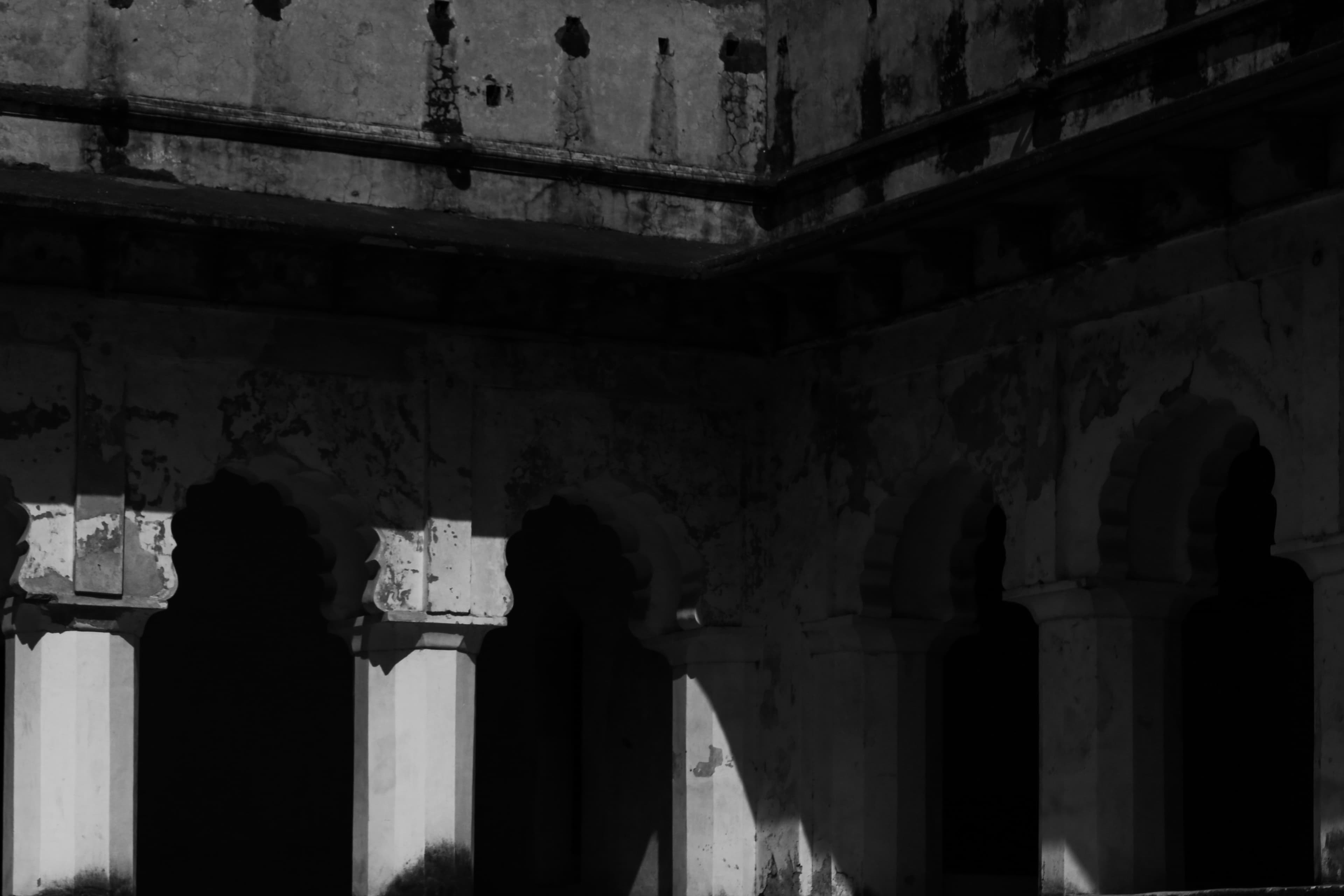 Stillness in Monochrome