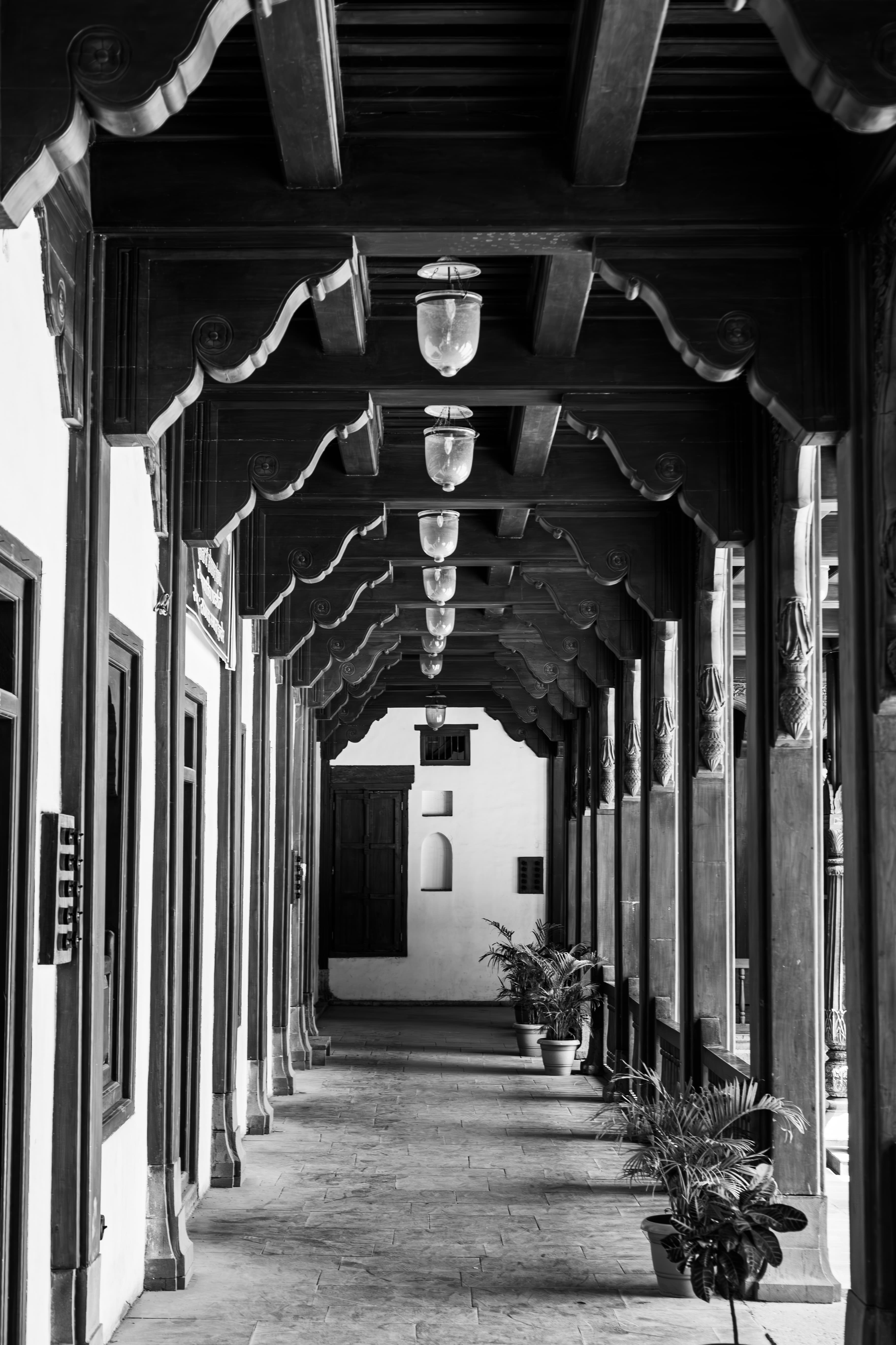 Echoes Through the Corridor