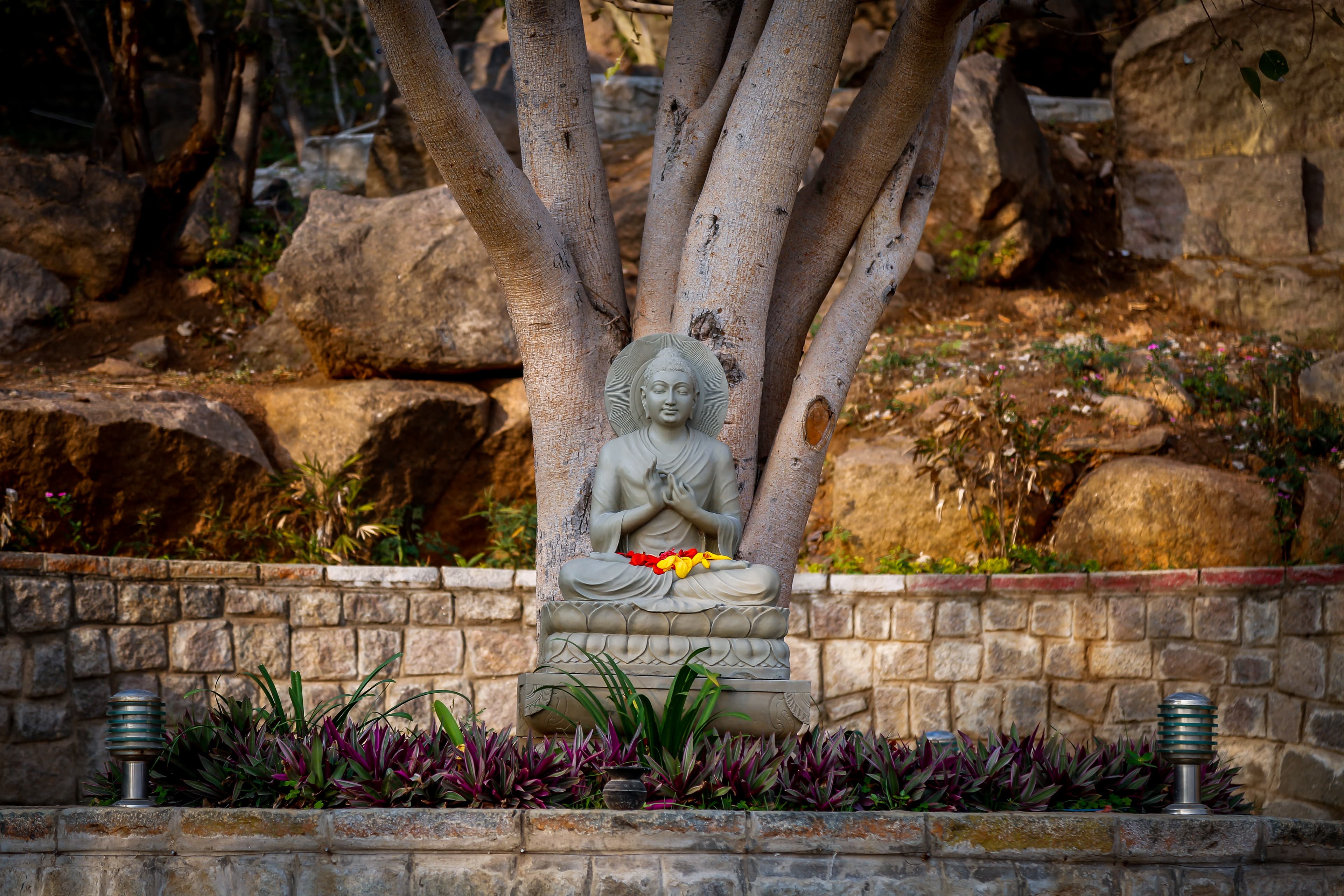 Serenity Under the Bodhi Tree
