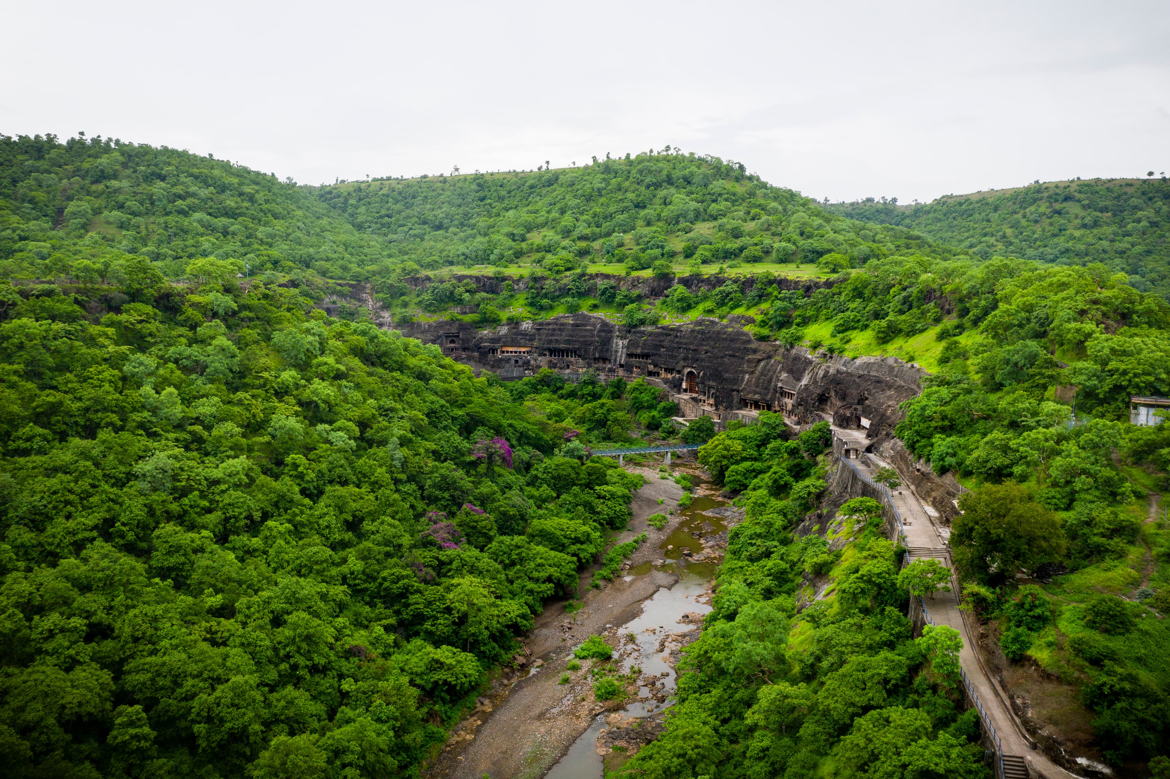 Verdant Guard of Ajanta