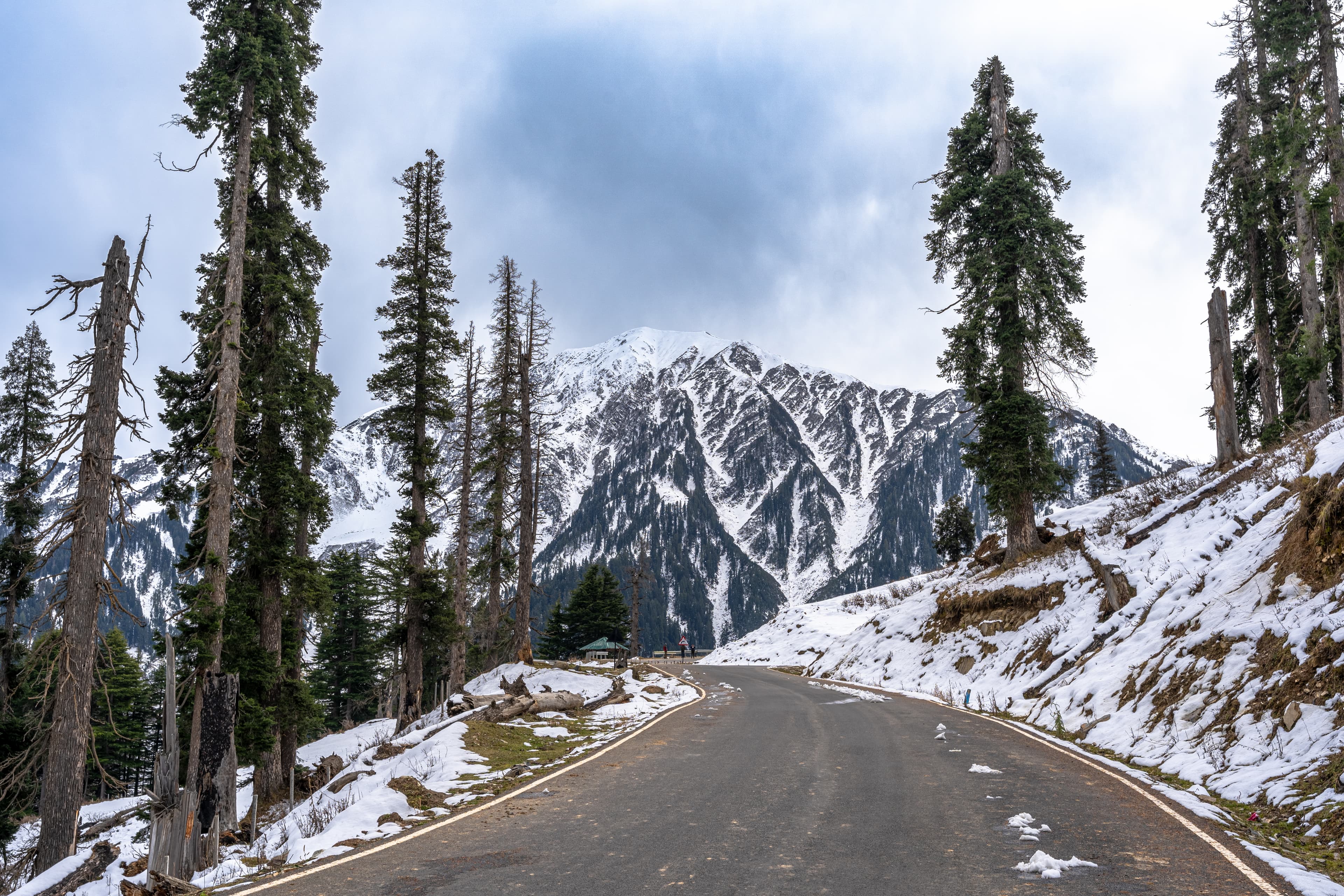 Into the White Road to Ashapati
