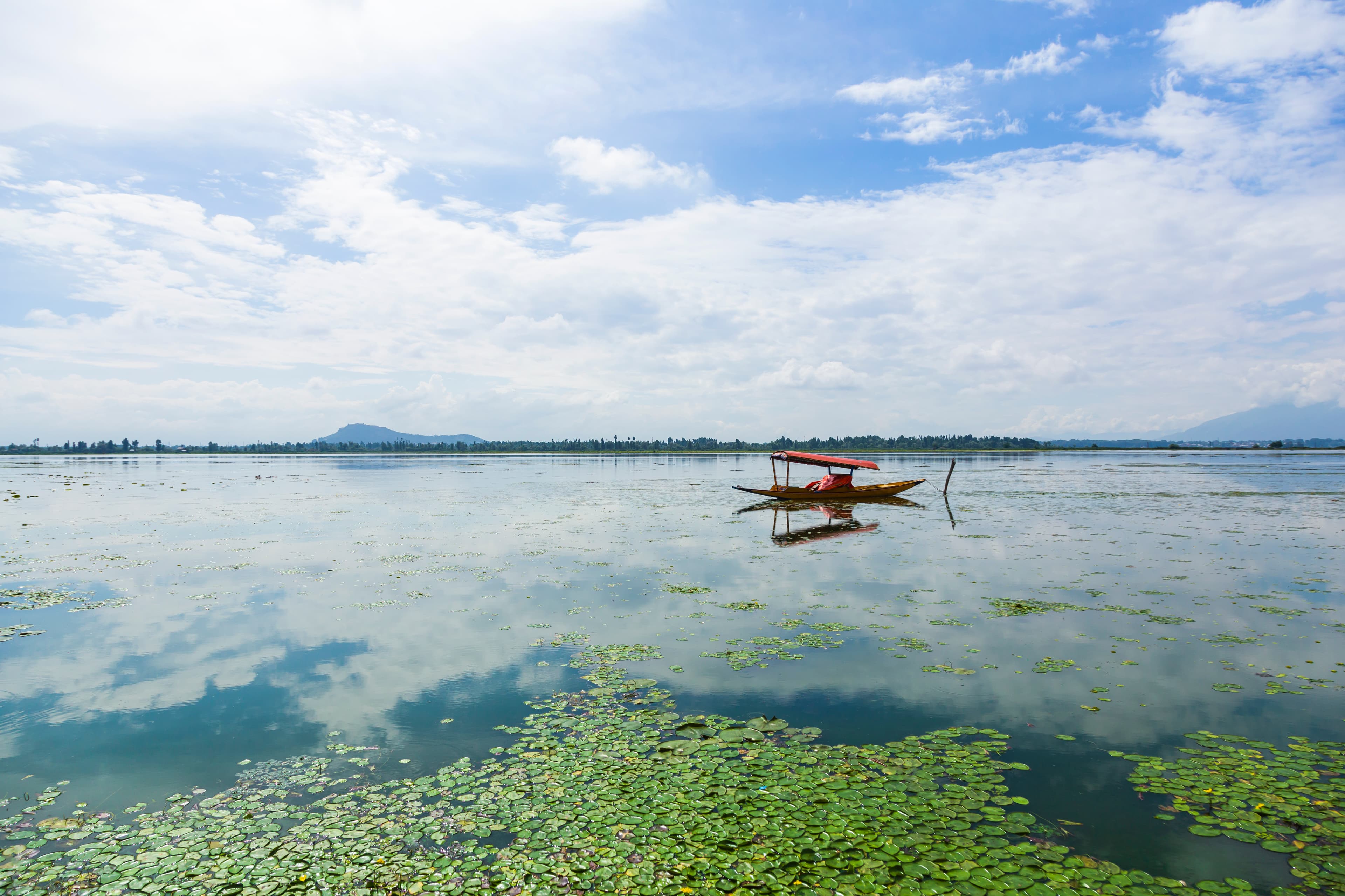 Tranquil Reflections – Shikara on Dal Lake, Kashmir