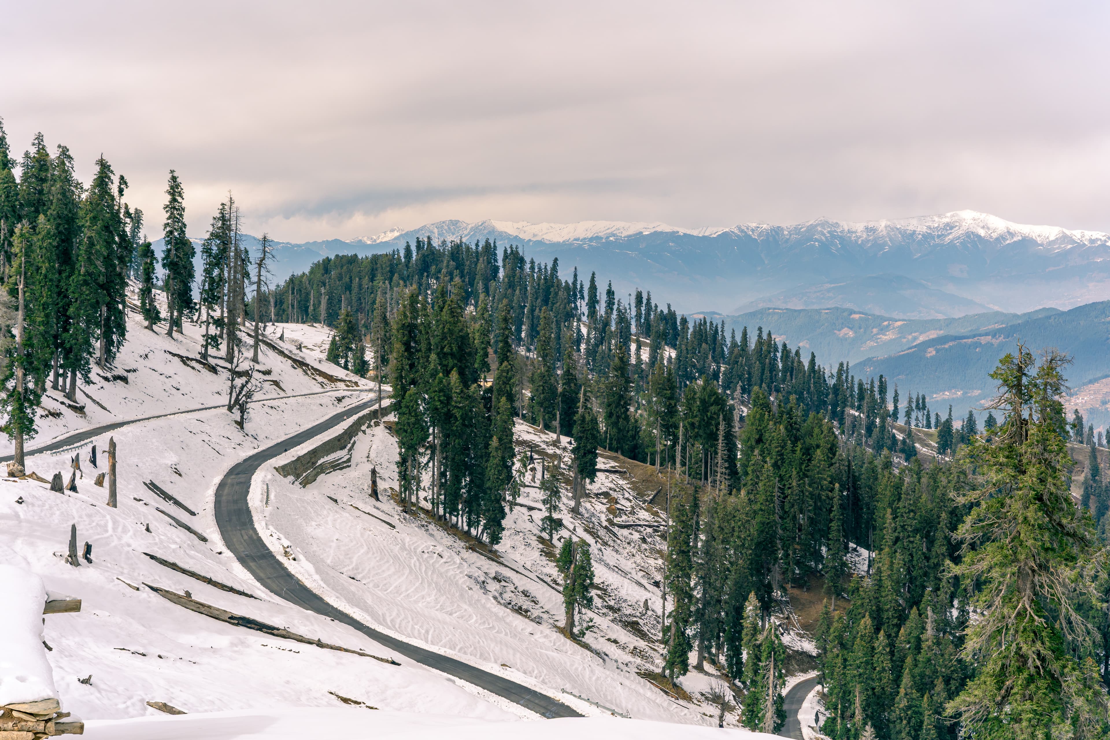 Winding Serenity at Guldanda Pass