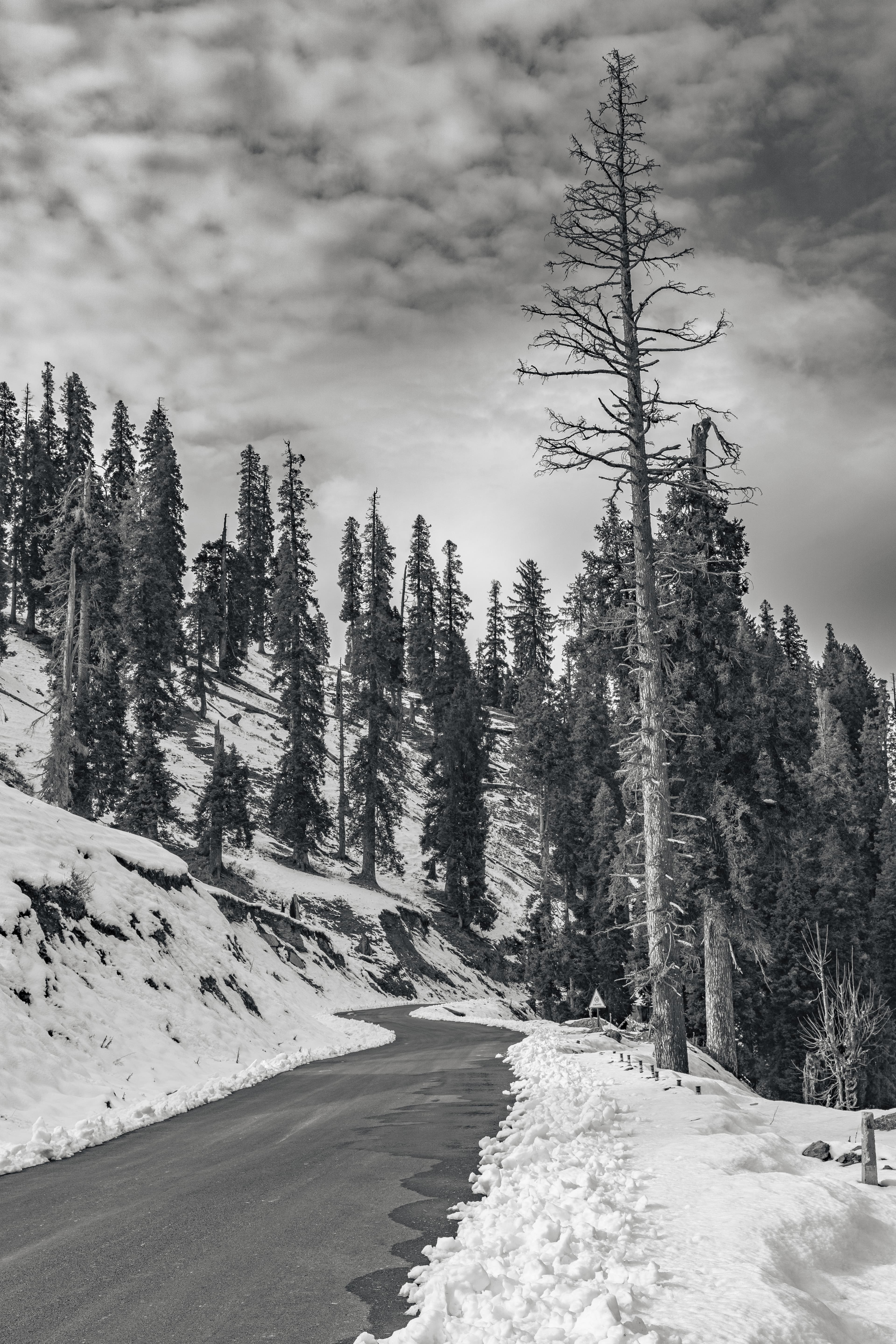 Winding Silence of Guldanda