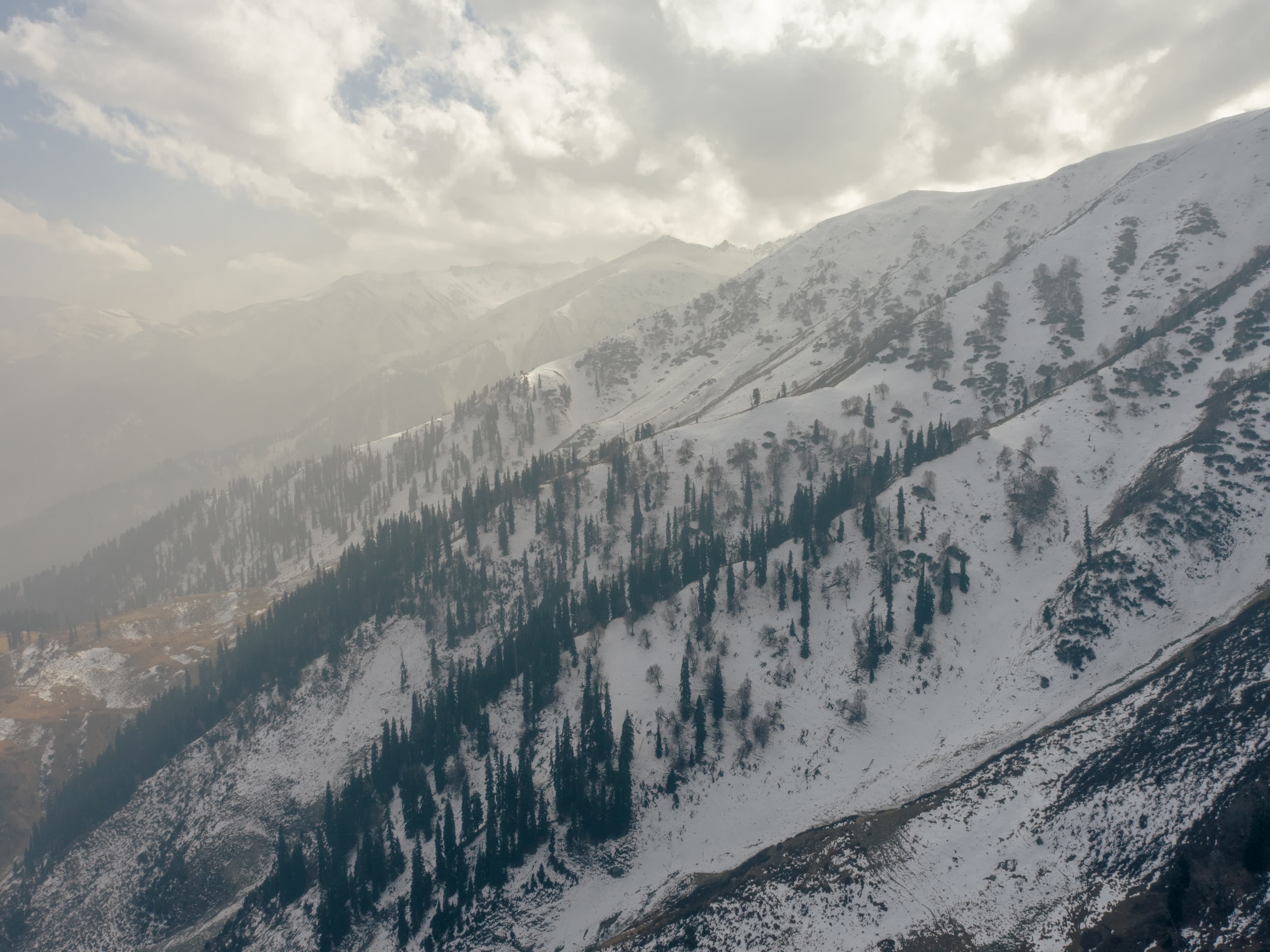 Whispers of Snow in Gulmarg Heights