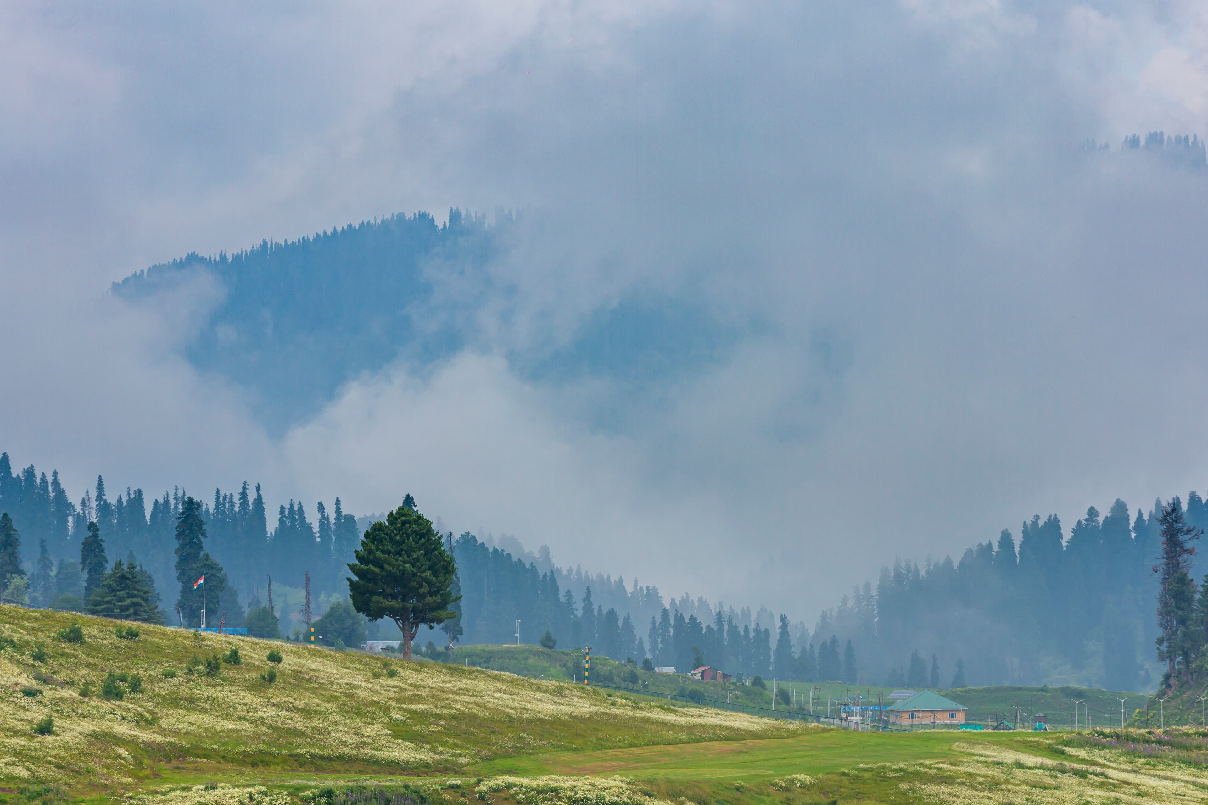 Whispers of Mist in Gulmarg Meadows