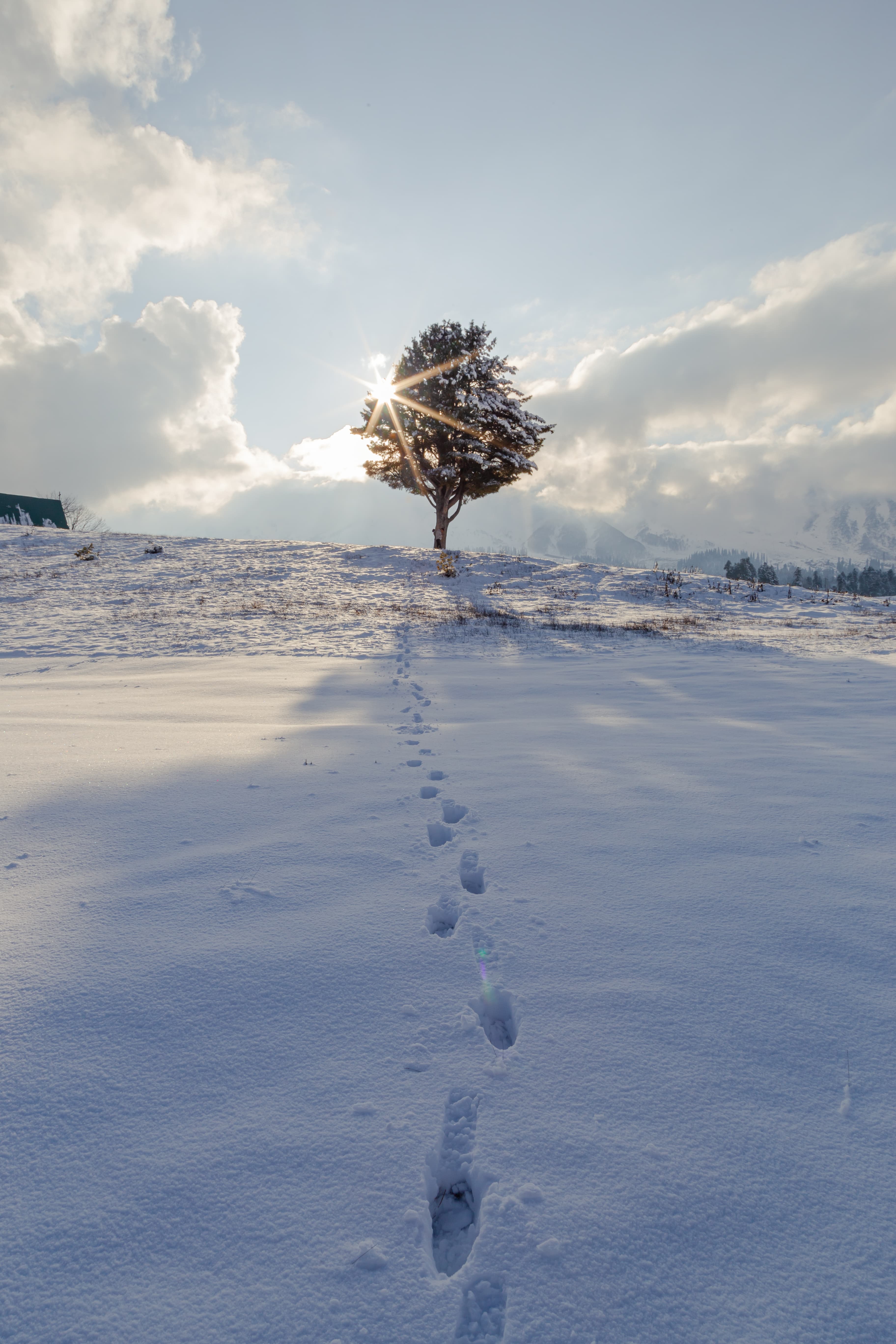 Steps into Solitude Winter Sunburst in Gulmarg
