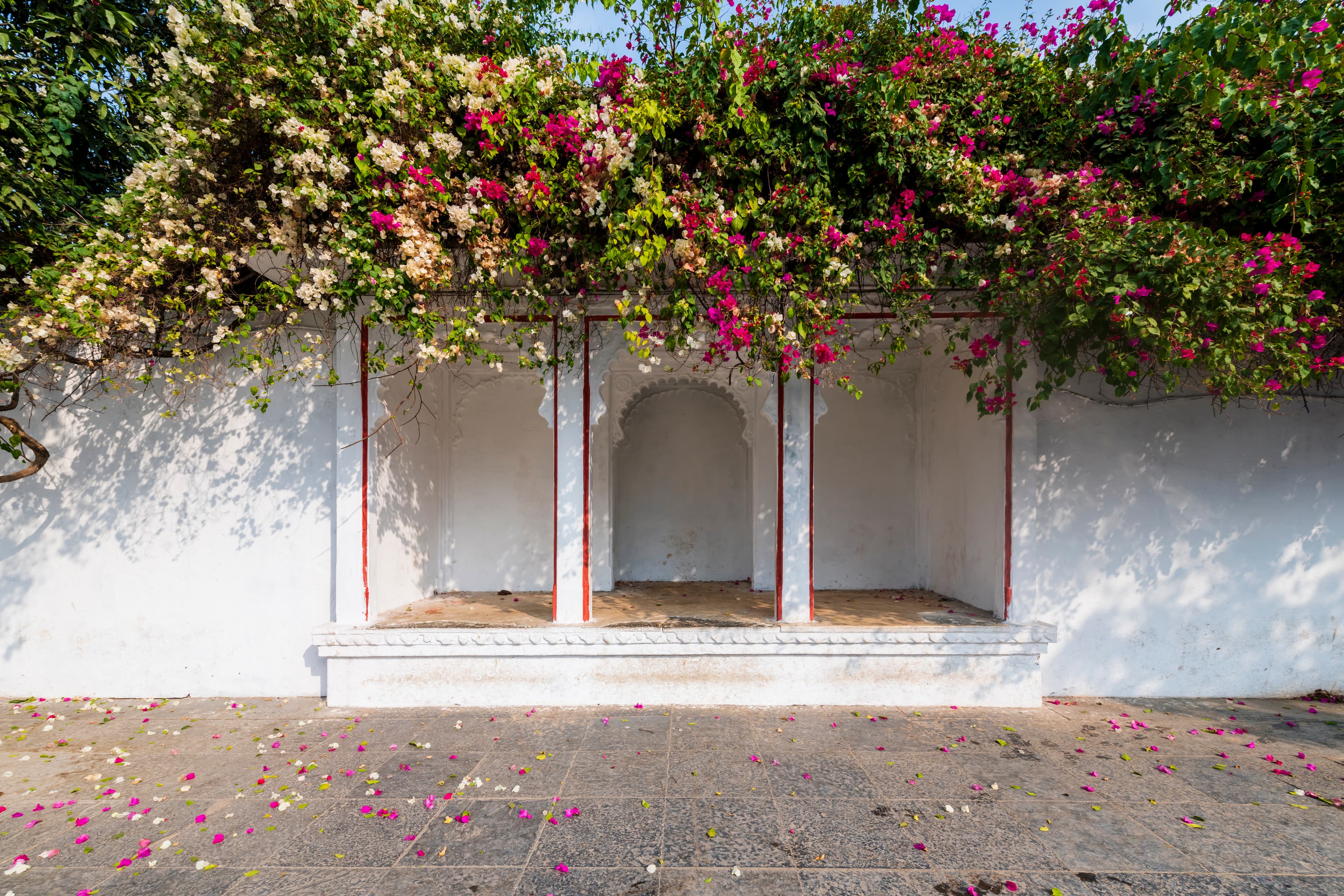 Blossoms and Arches Serenity at Saheliyon Ki Bari