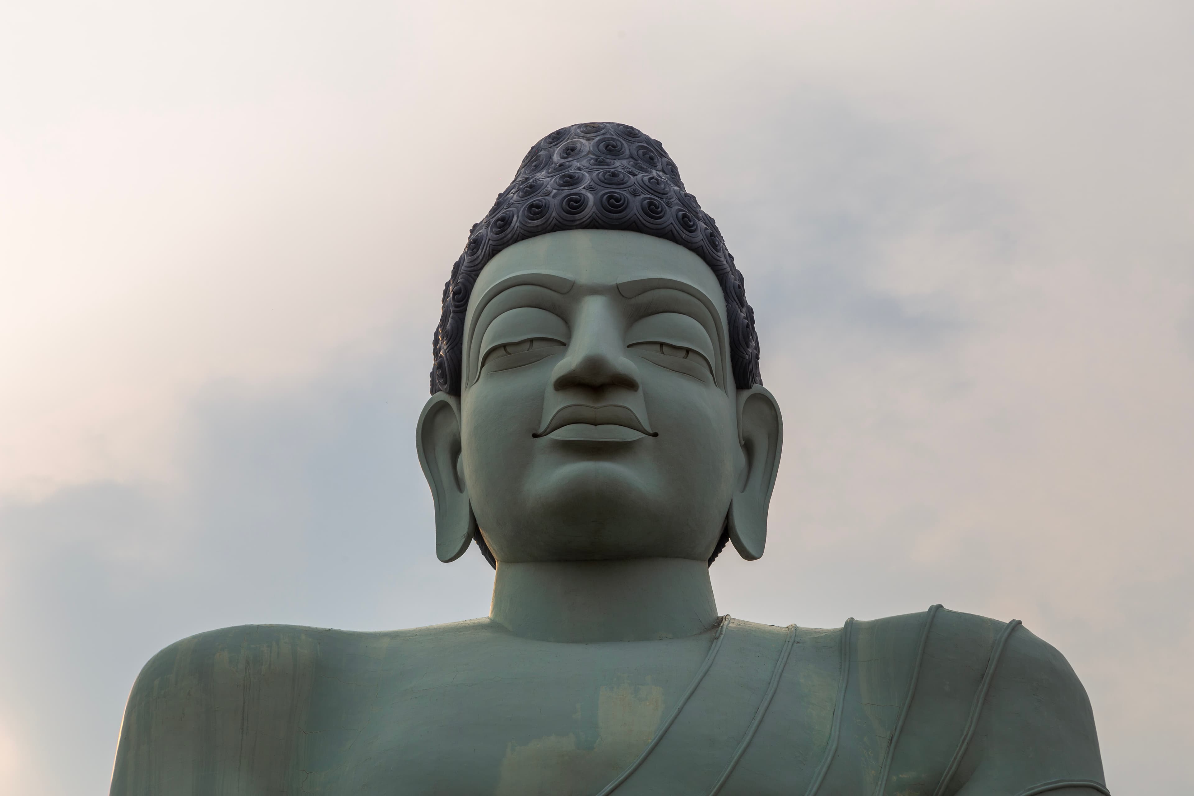 Eyes of Enlightenment