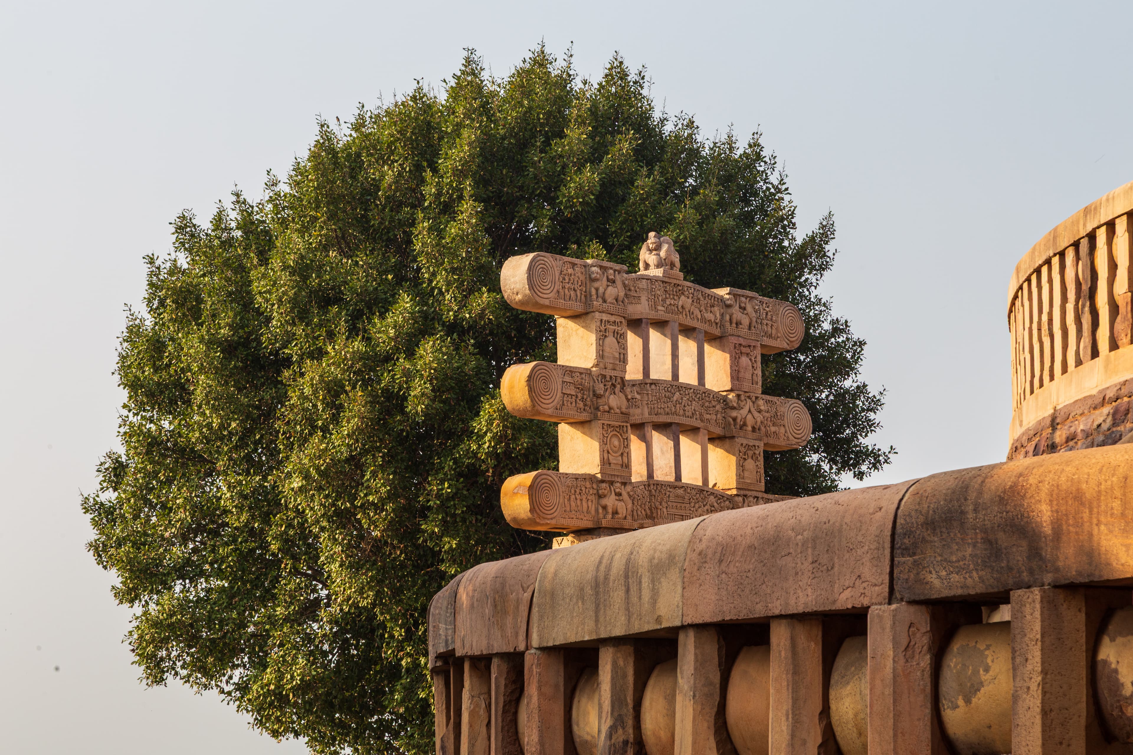 Rear Torana of Sanchi Stupa Framed by Nature