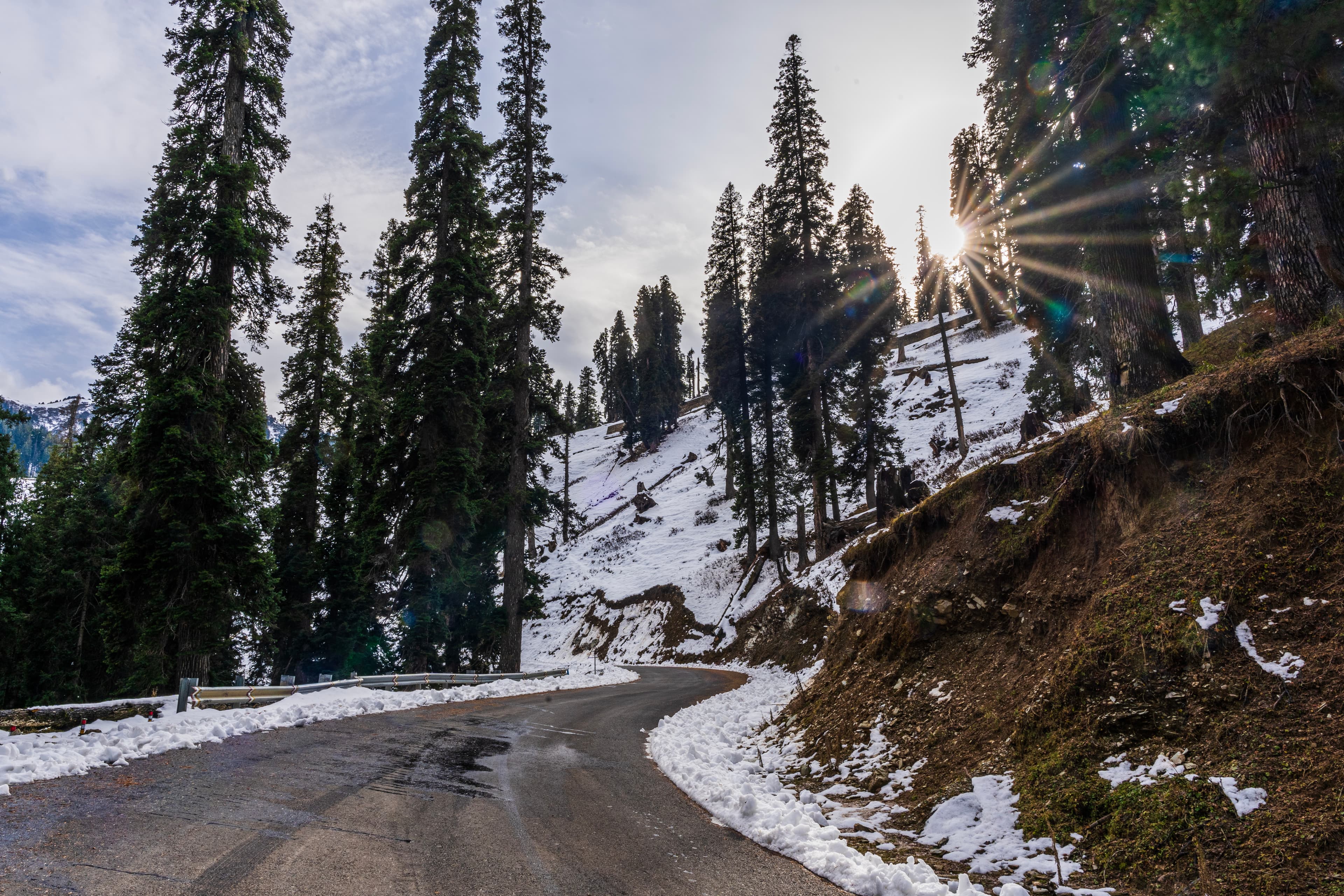 Snow-Draped Pines & Winding Path at Sunset – Bhaderwah