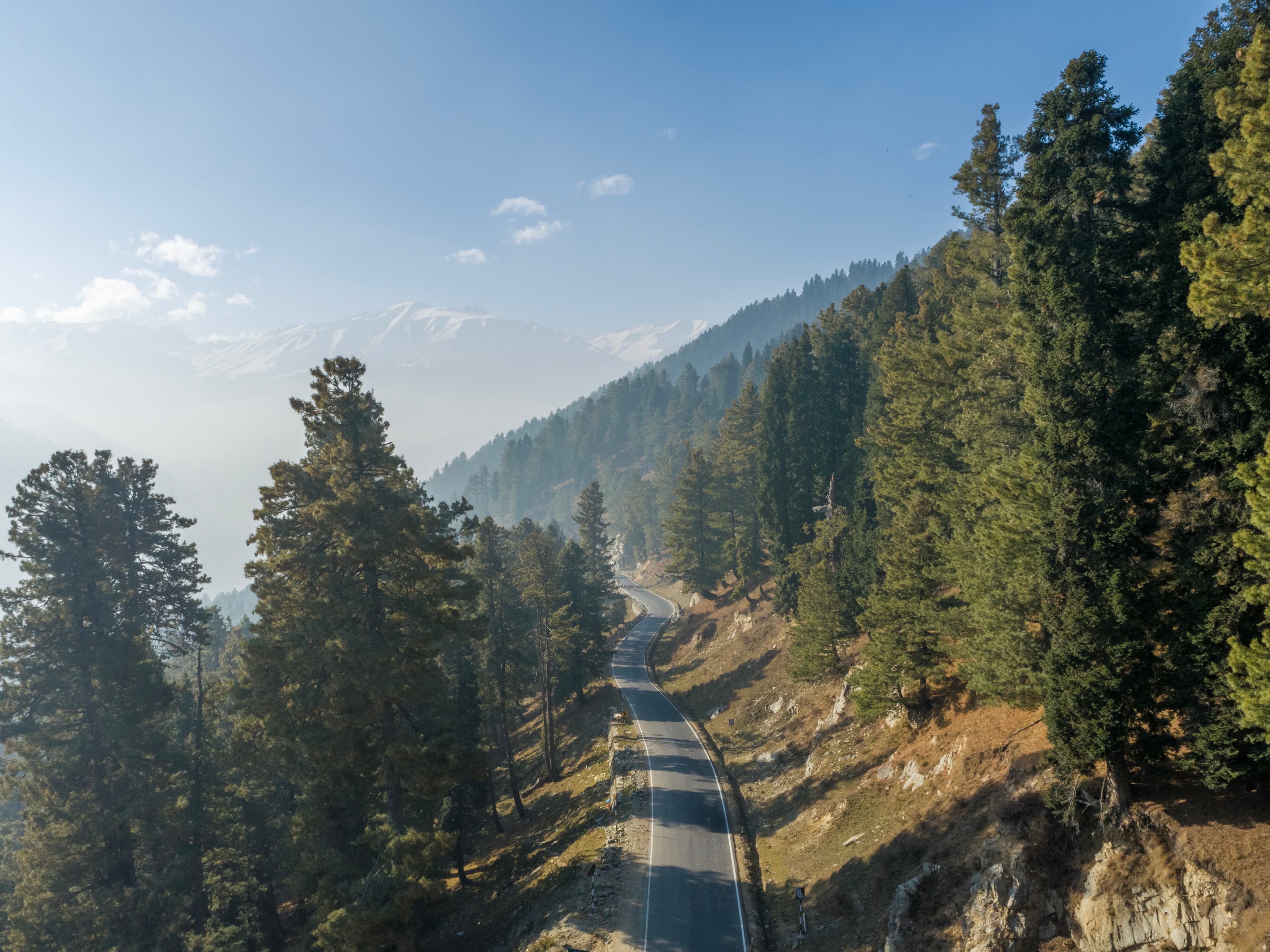 Winding Through Pines – Scenic Drive in Gulmarg