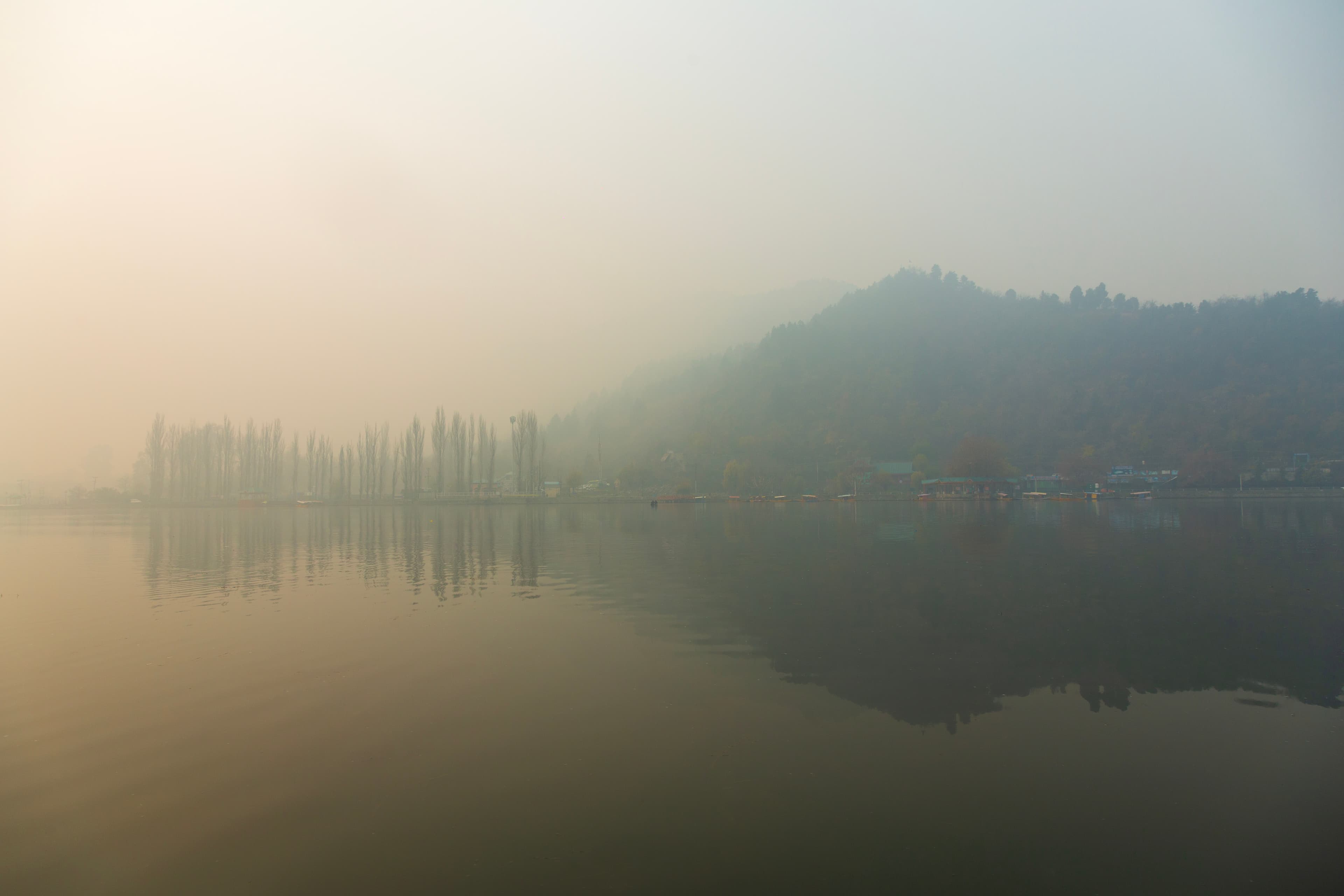 Misty Morning Stillness at Dal Lake