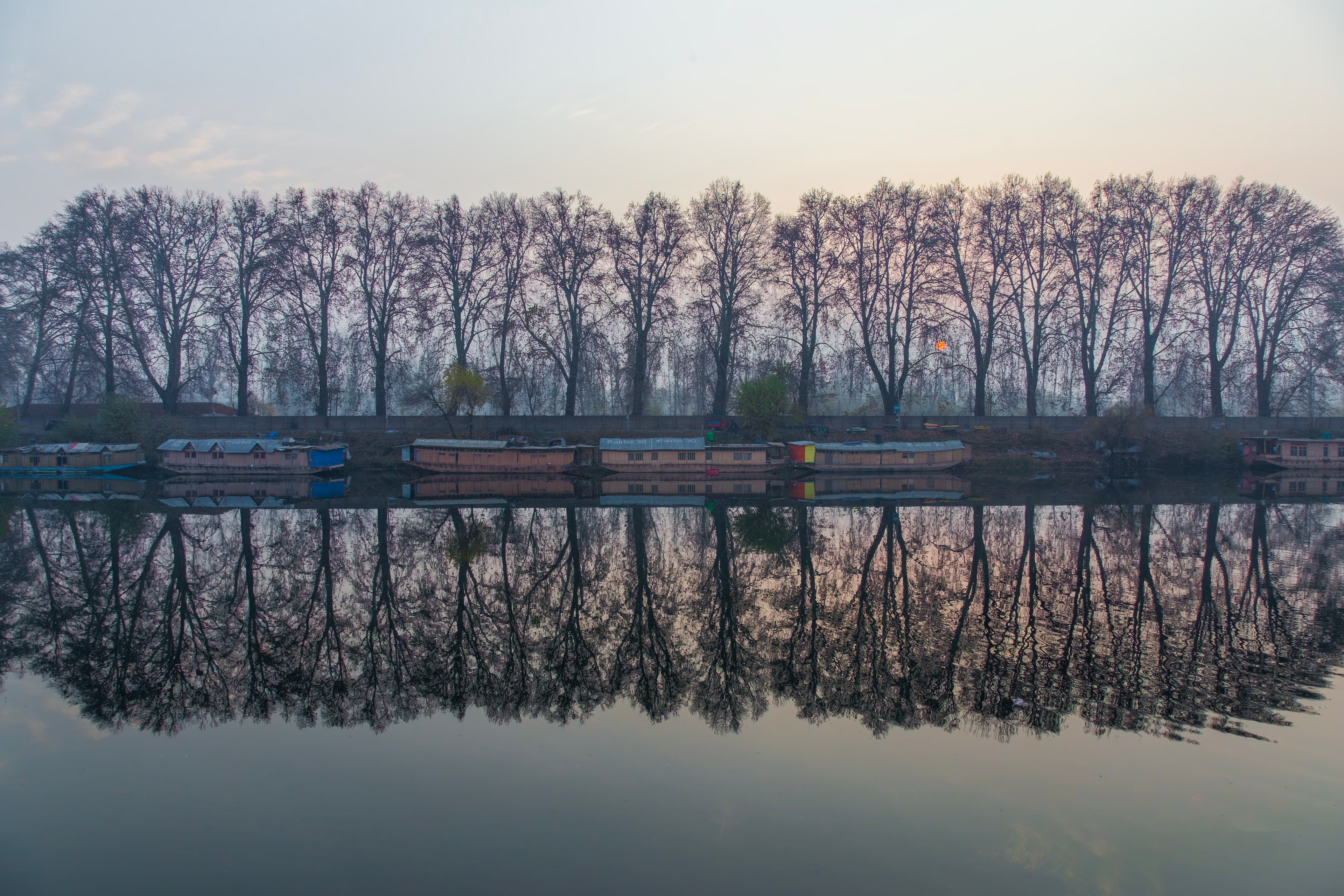 Houseboats & Winter Trees Reflecting on Srinagar’s Still Waters