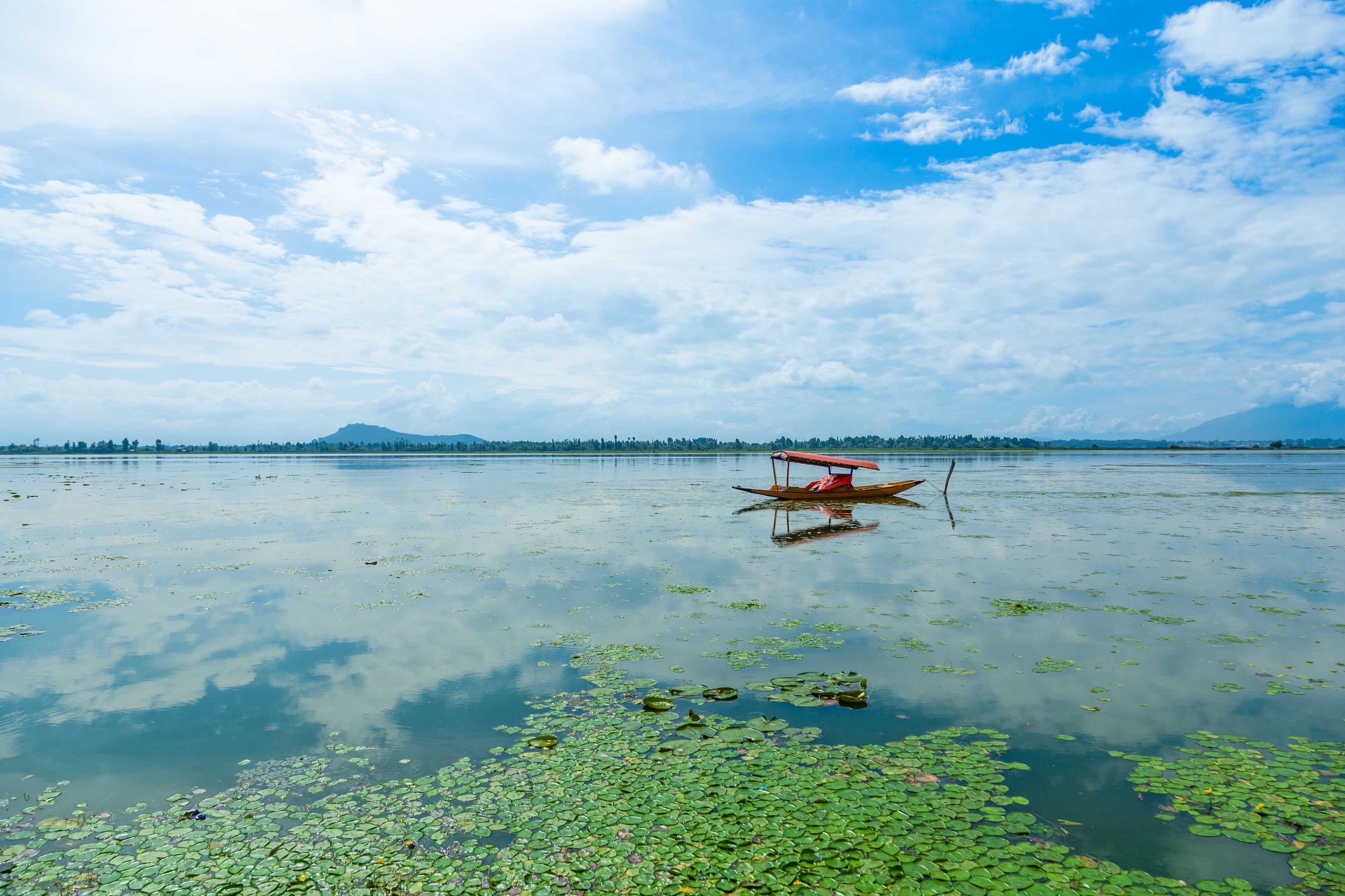 Tranquil Reflections on Dal Lake