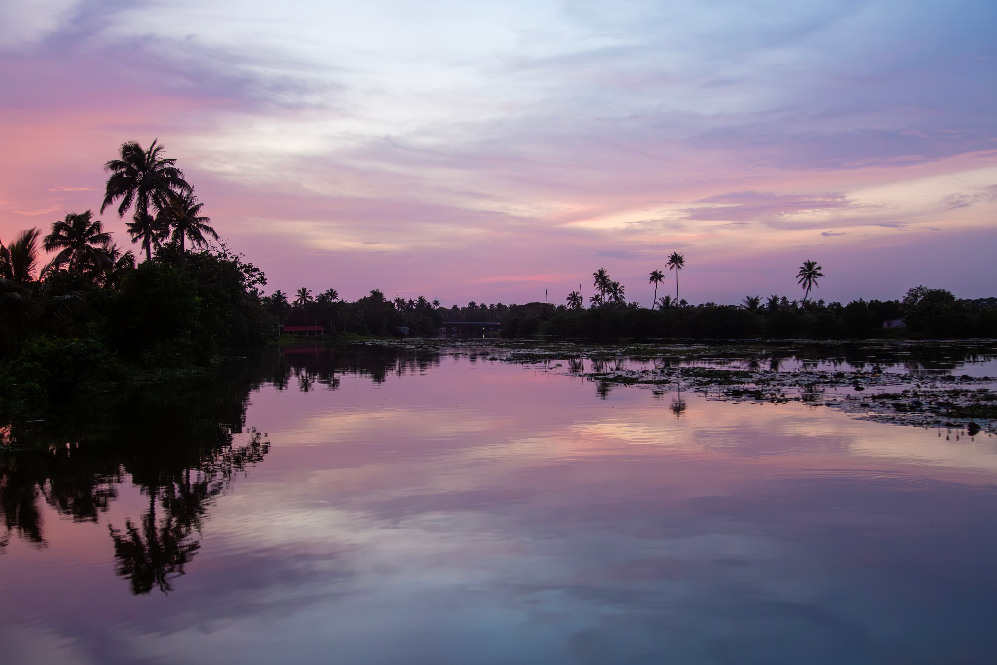 Pastel Dusk Over Kerala’s Backwaters