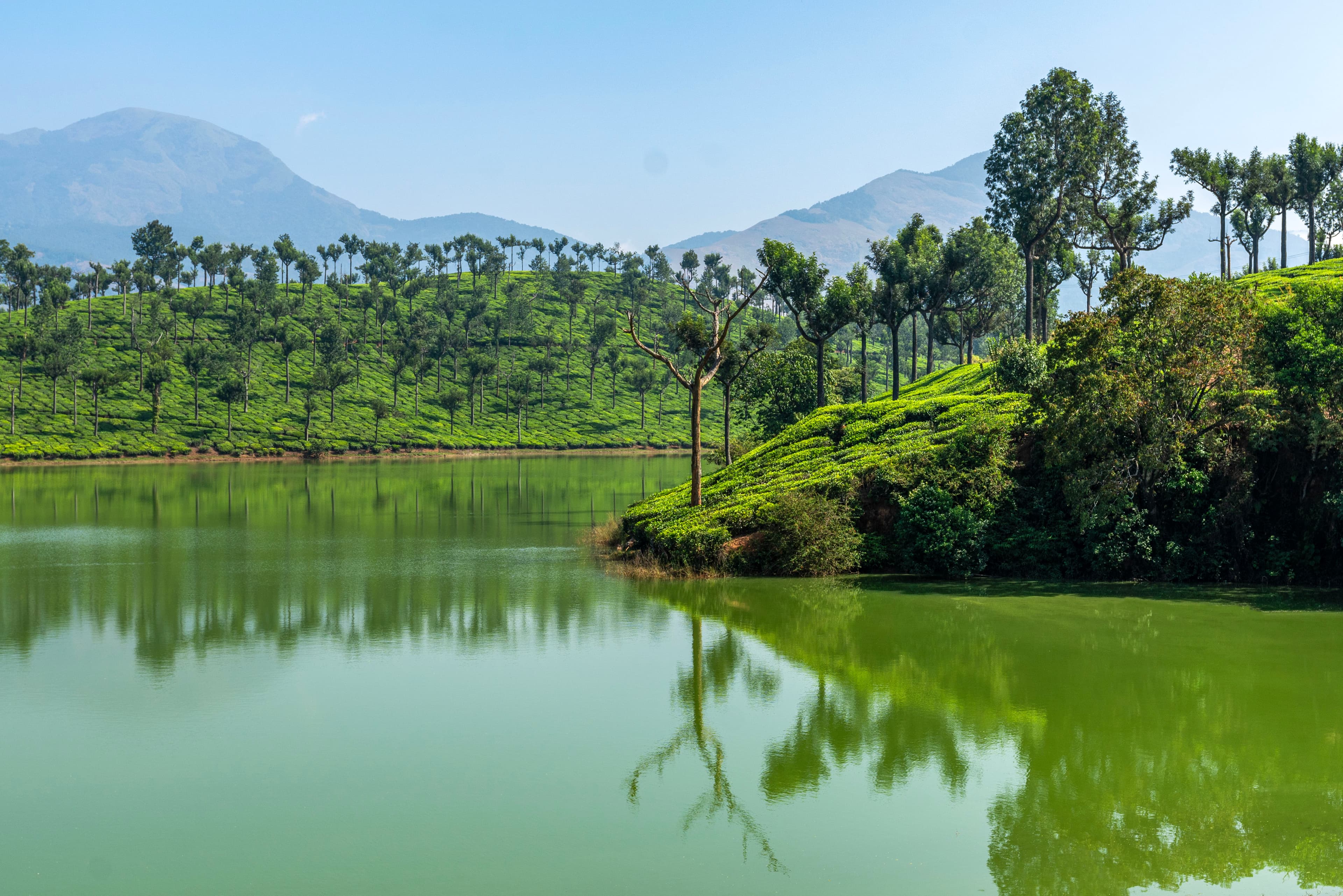 Kundala Lake Reflections – Tea Gardens of Munnar