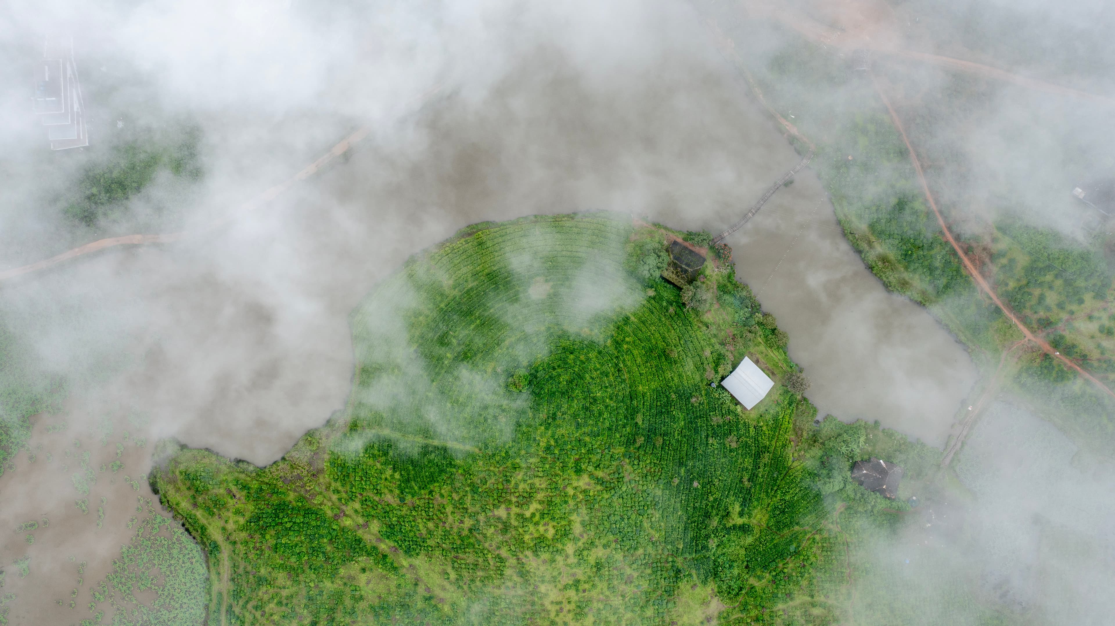 Mist Draped Farmlands of Vagamon