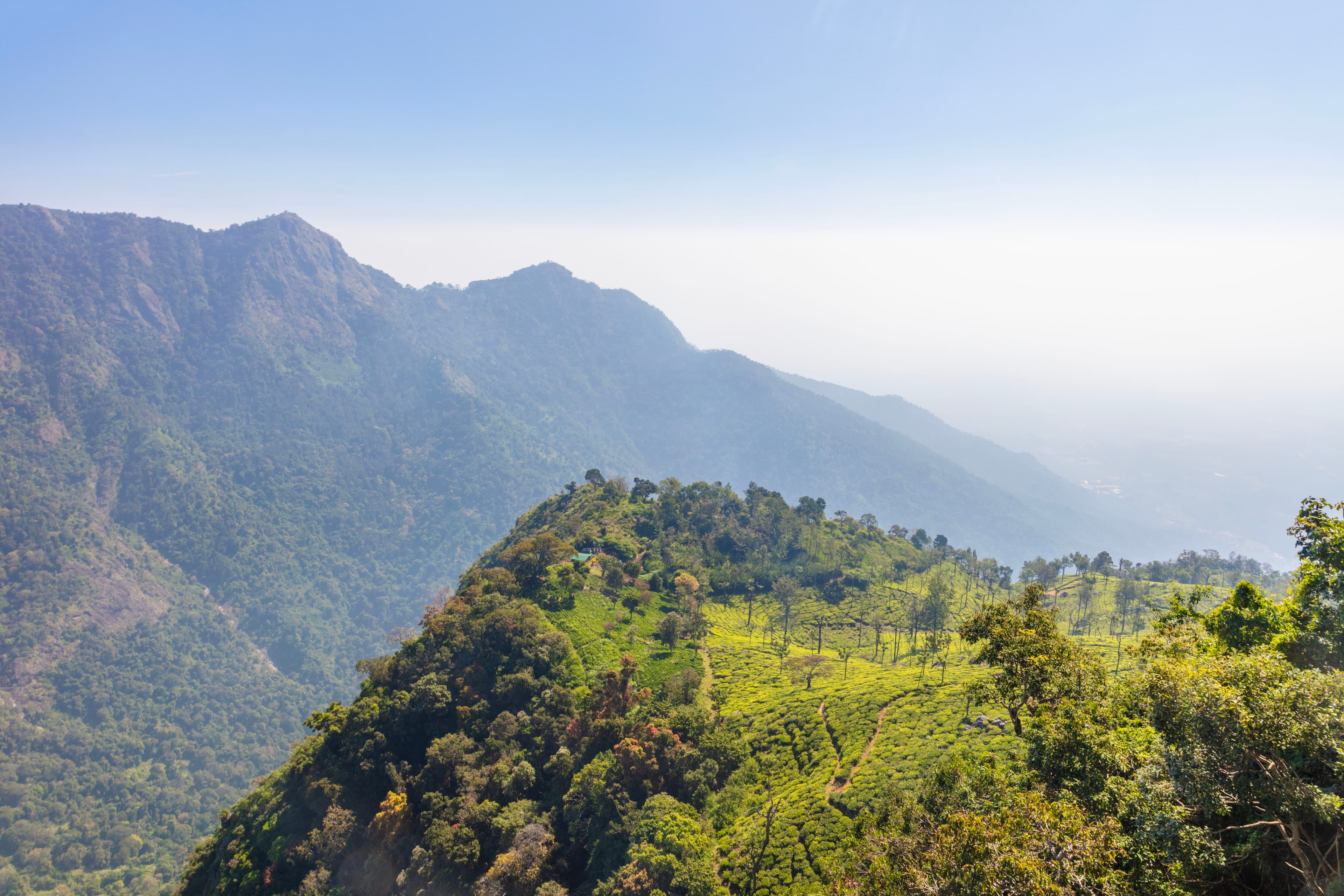 Dolphin’s Nose Viewpoint