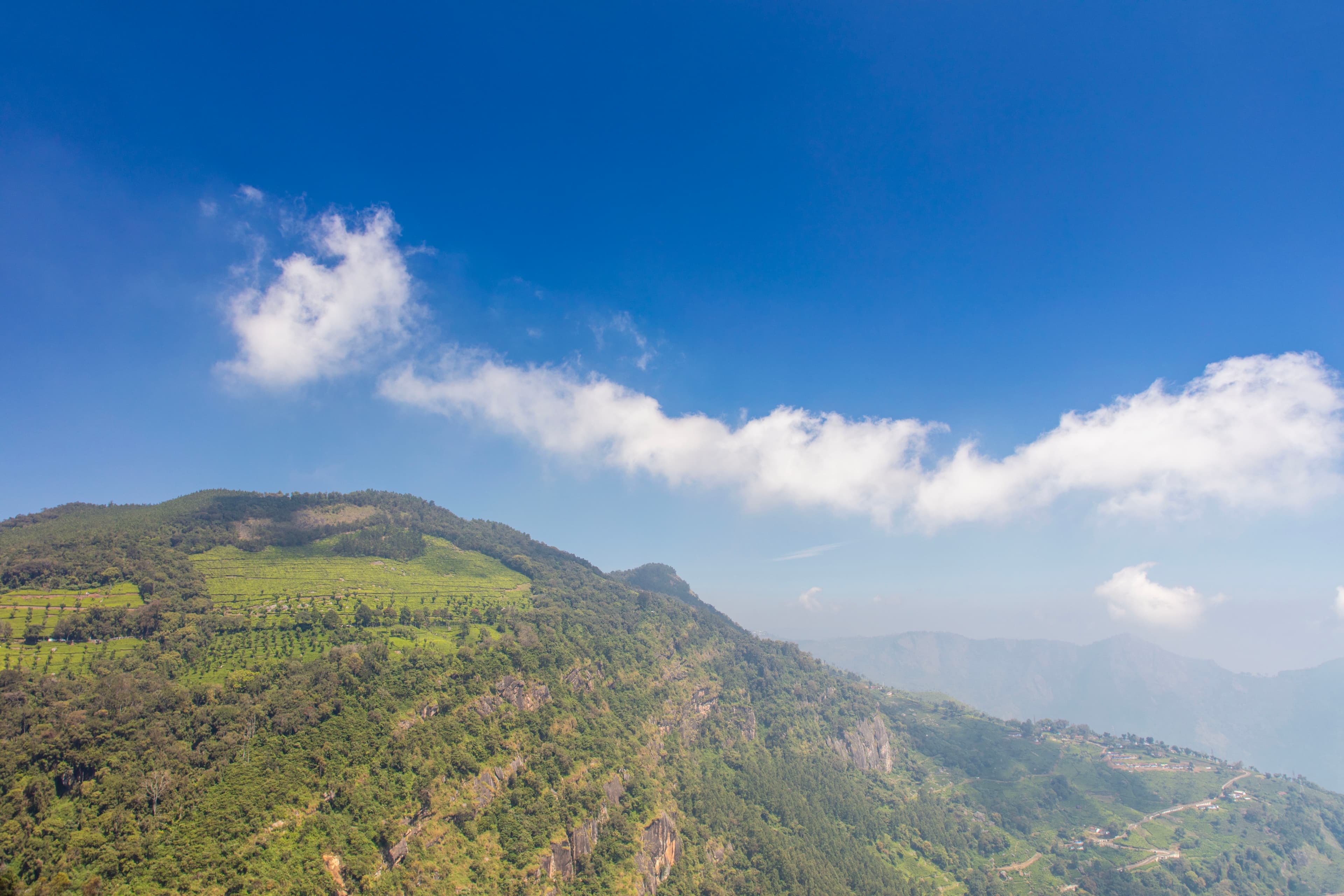 Verdant Cliffs and Cloud-Kissed Views from Lamb's Rock