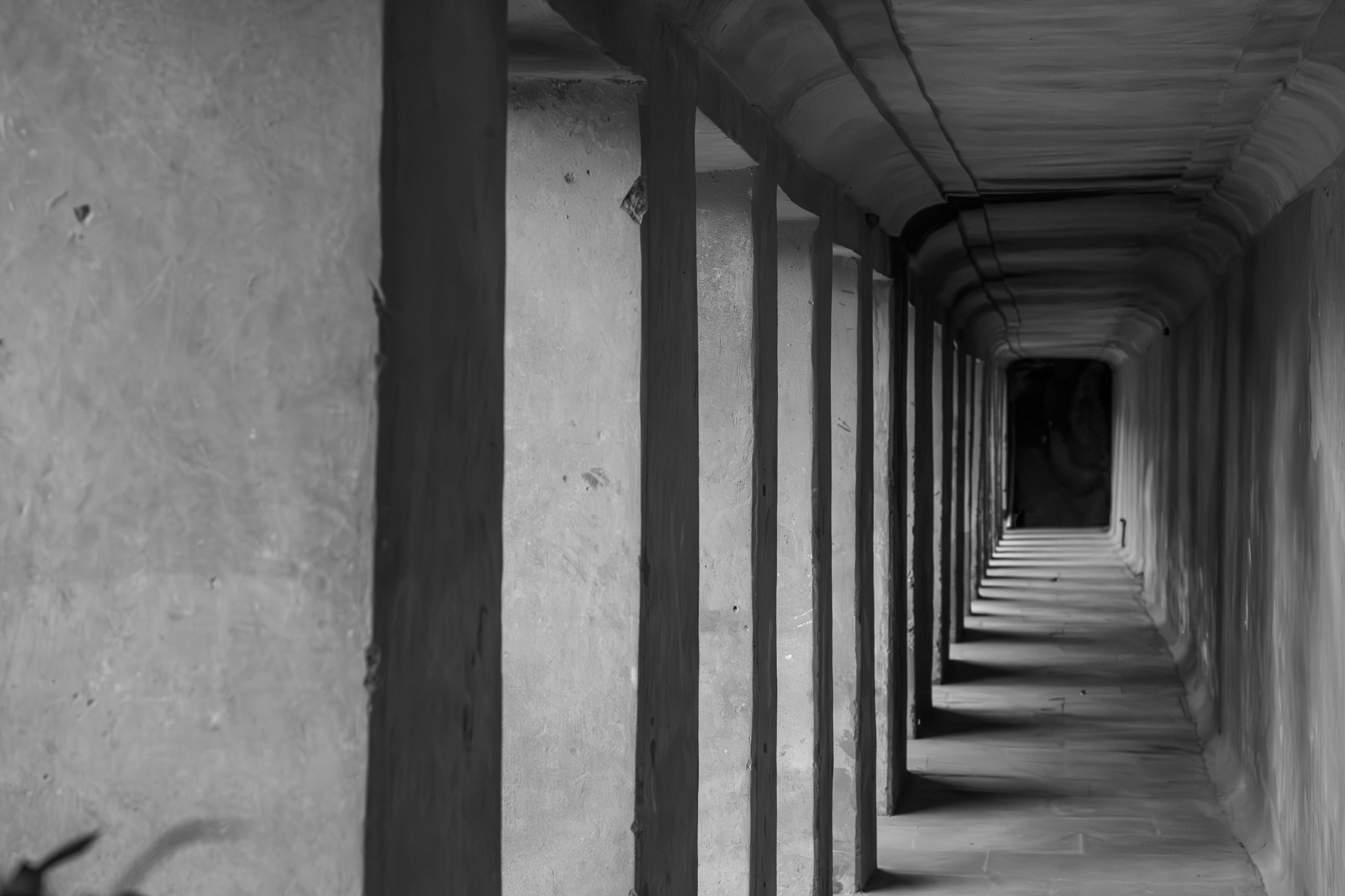 The Silent Corridor