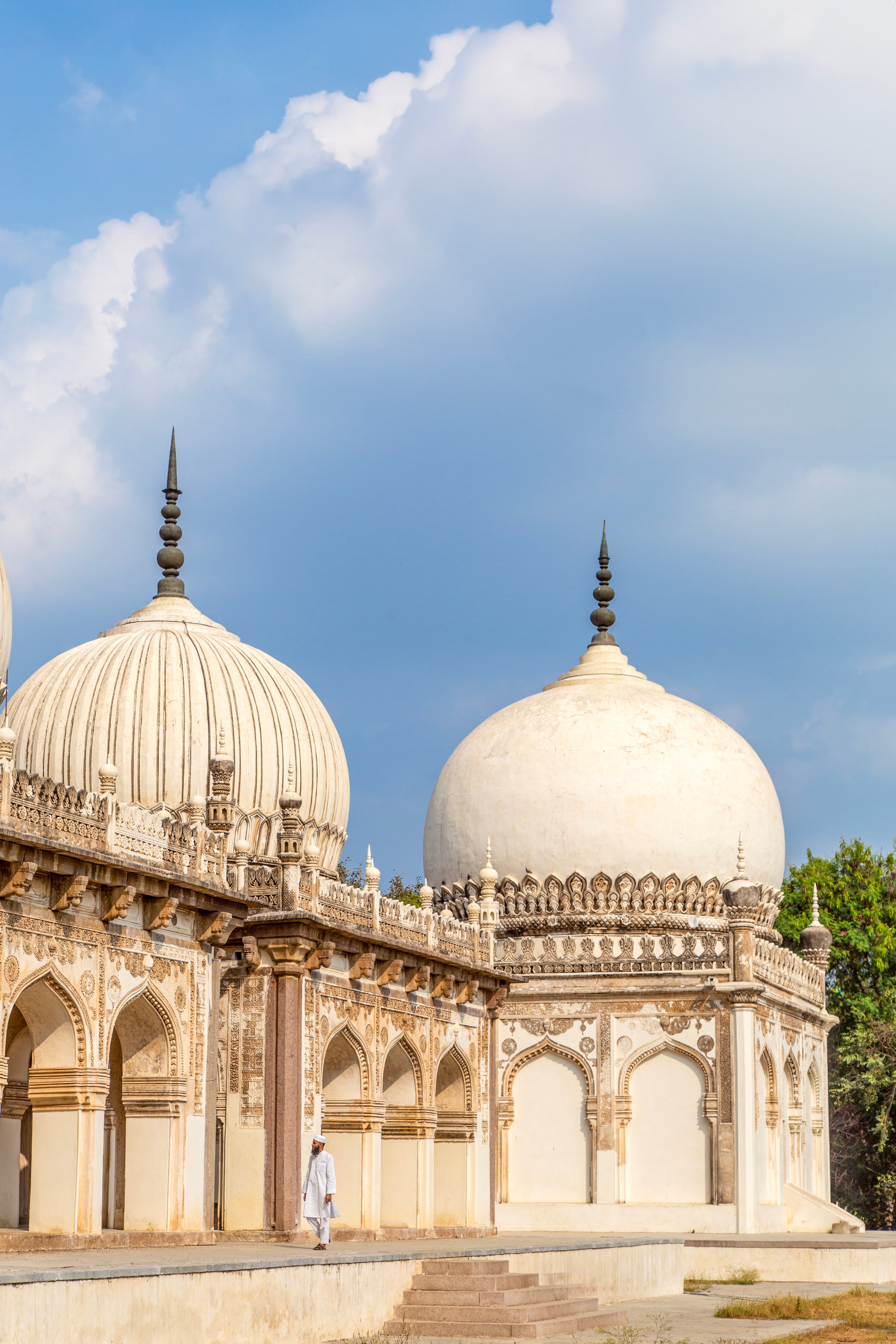 Solitude Amidst the Qutb Shahi Domes