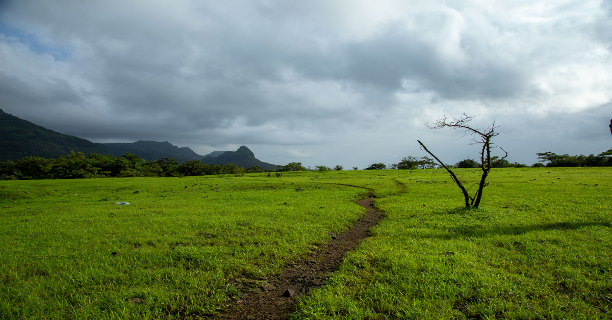 Beautiful weather of  Tamhini wildlife sanctuary